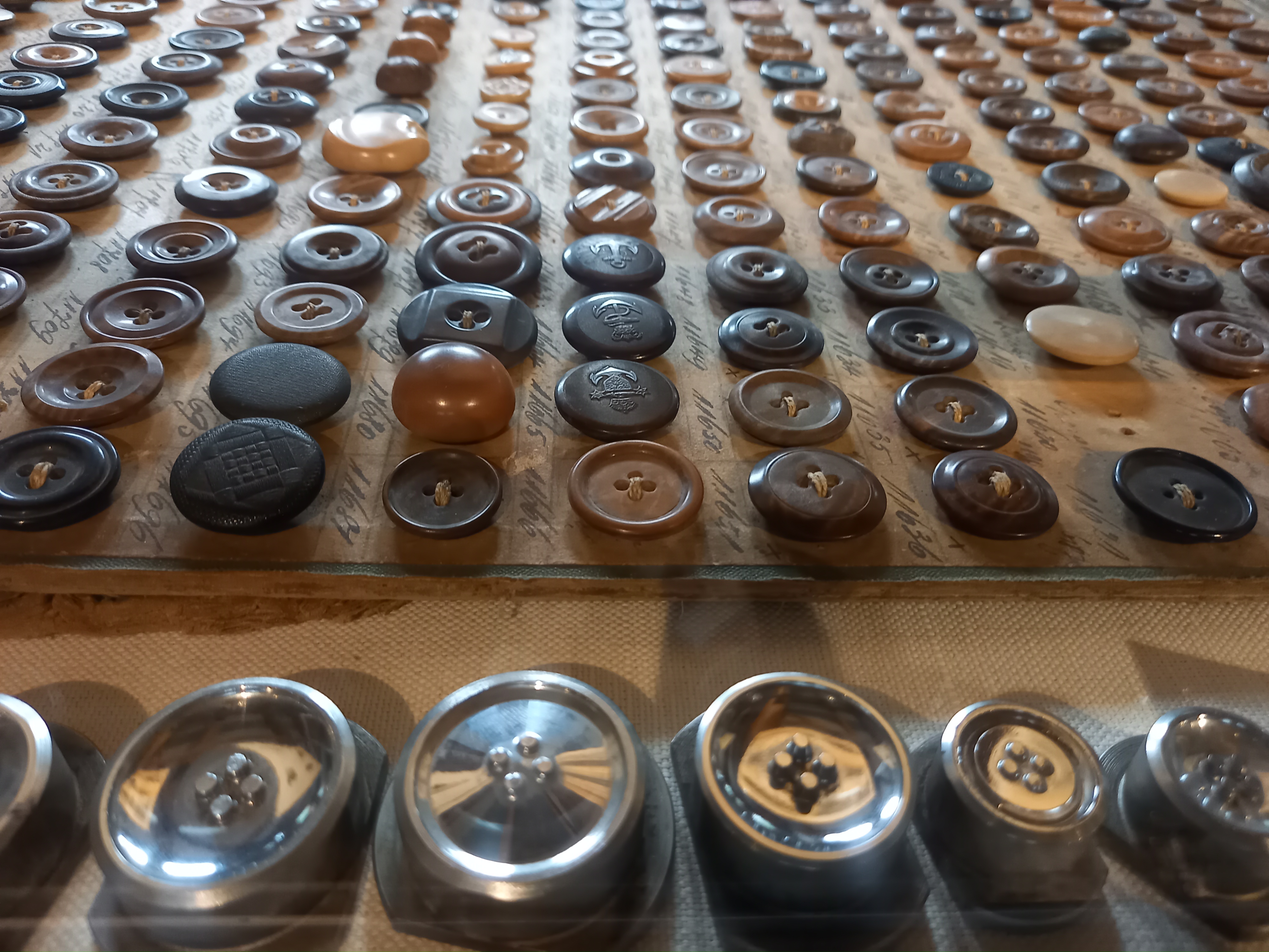 Fotoquelle: Petra Neumann