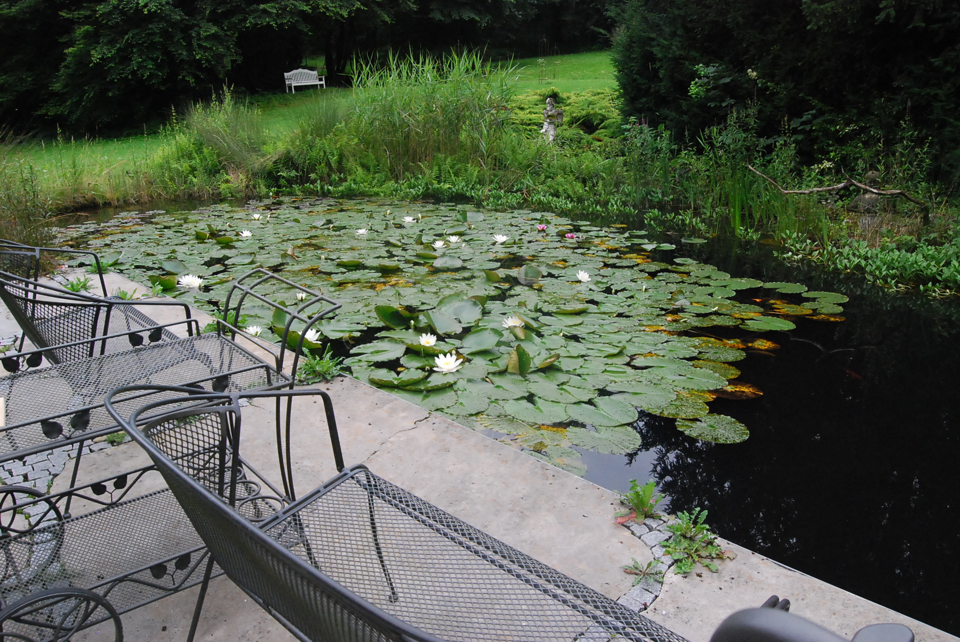 Fotoquelle: Edith Link