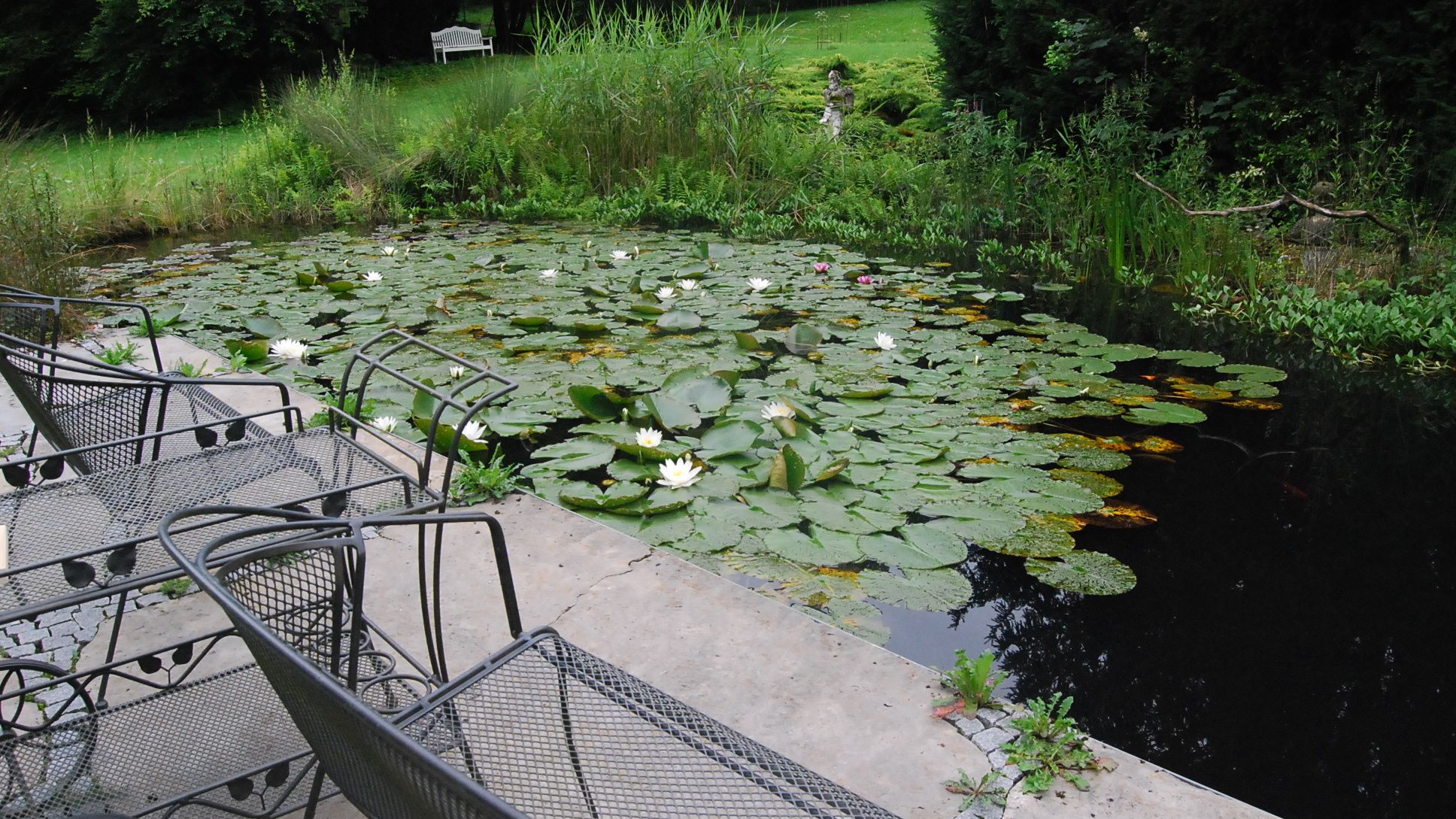 Fotoquelle: Edith Link