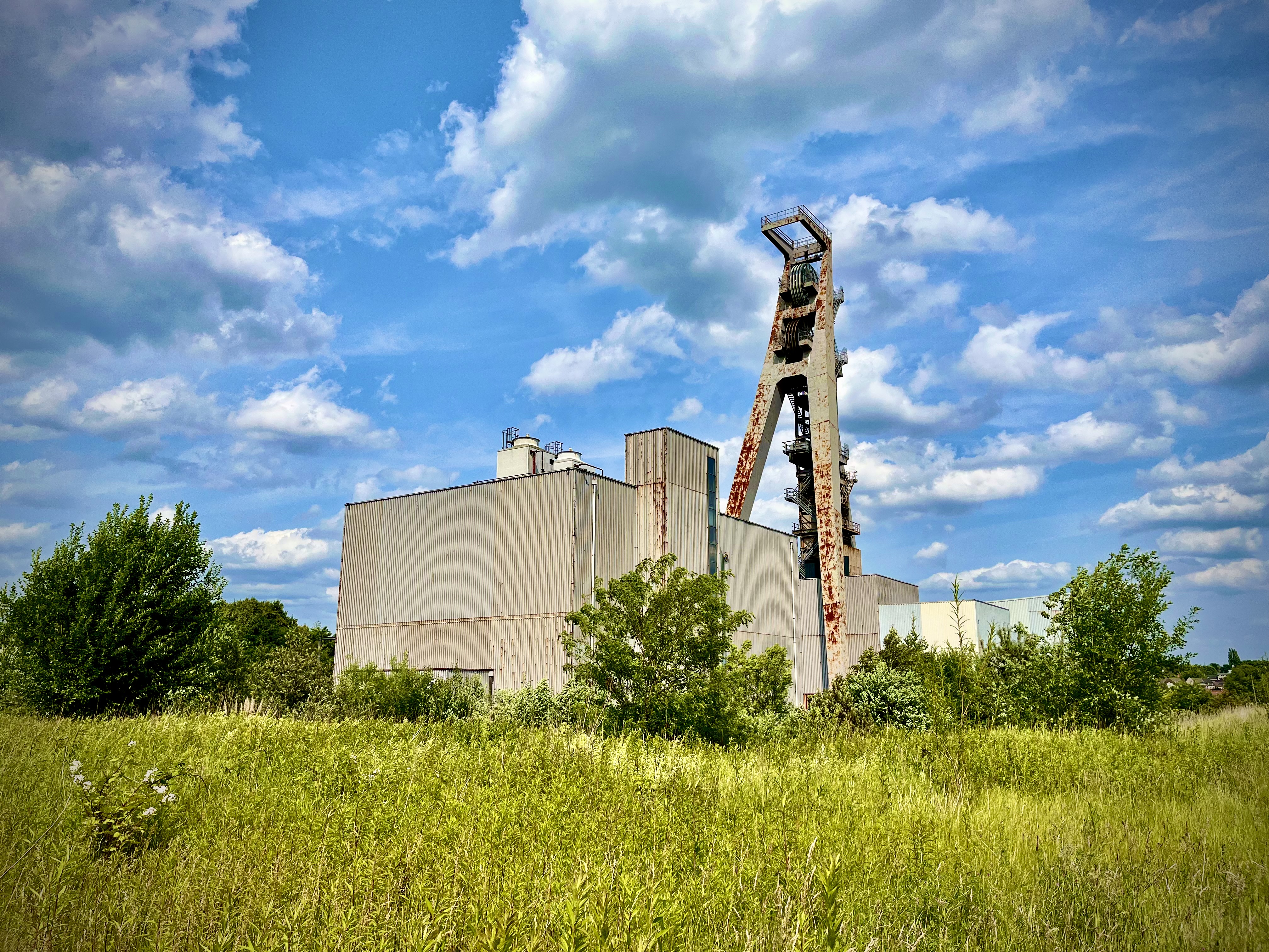 Fotoquelle: Herzmanatus, klaus