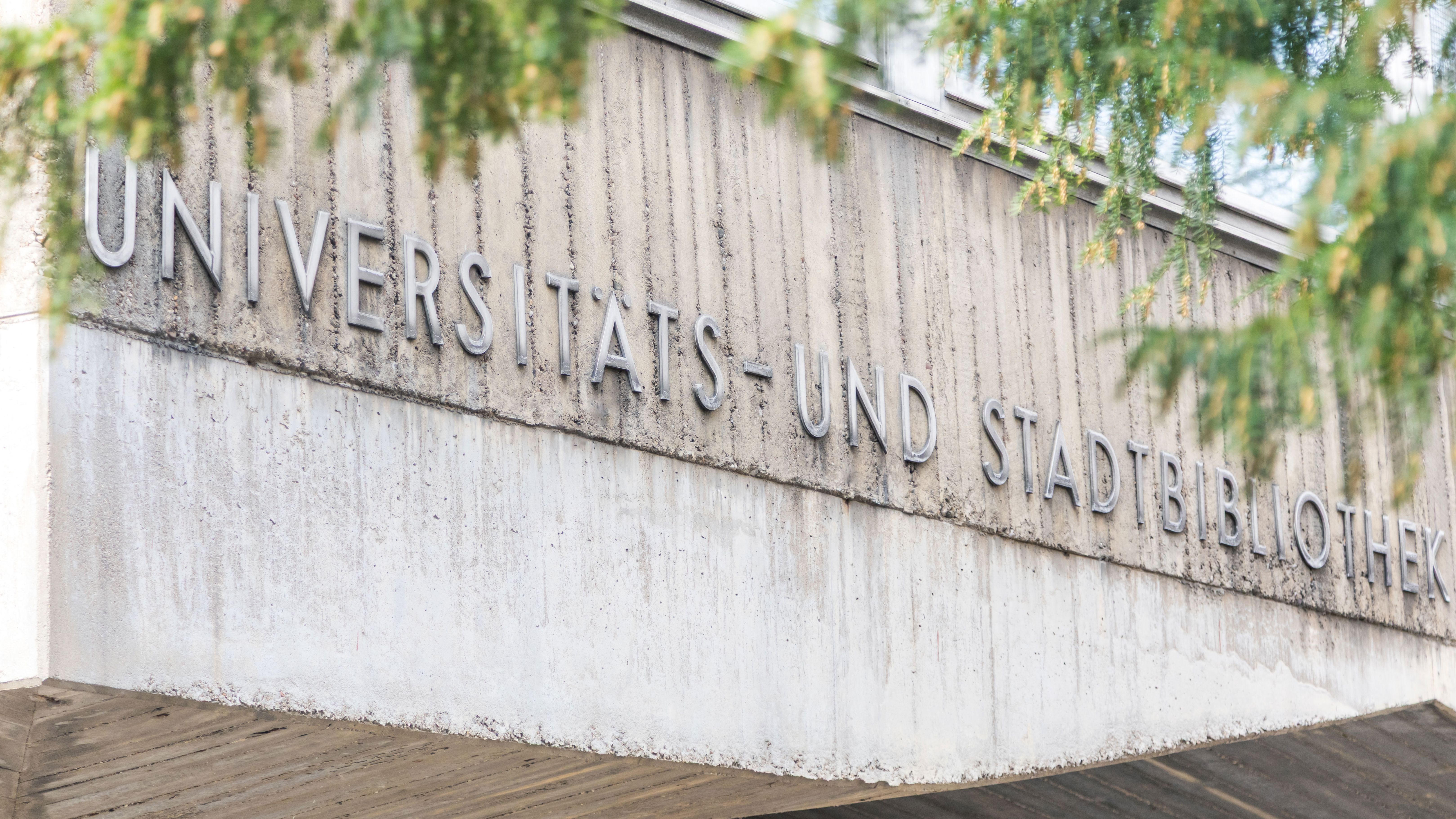 Fotoquelle: © Taimas Ahangari