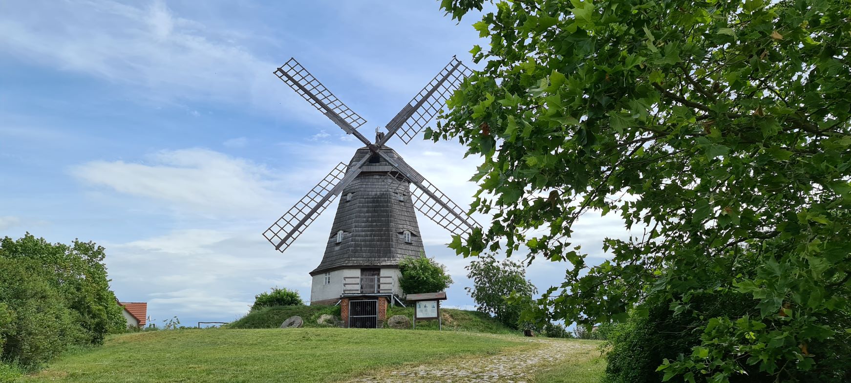 Fotoquelle: Yvette Below