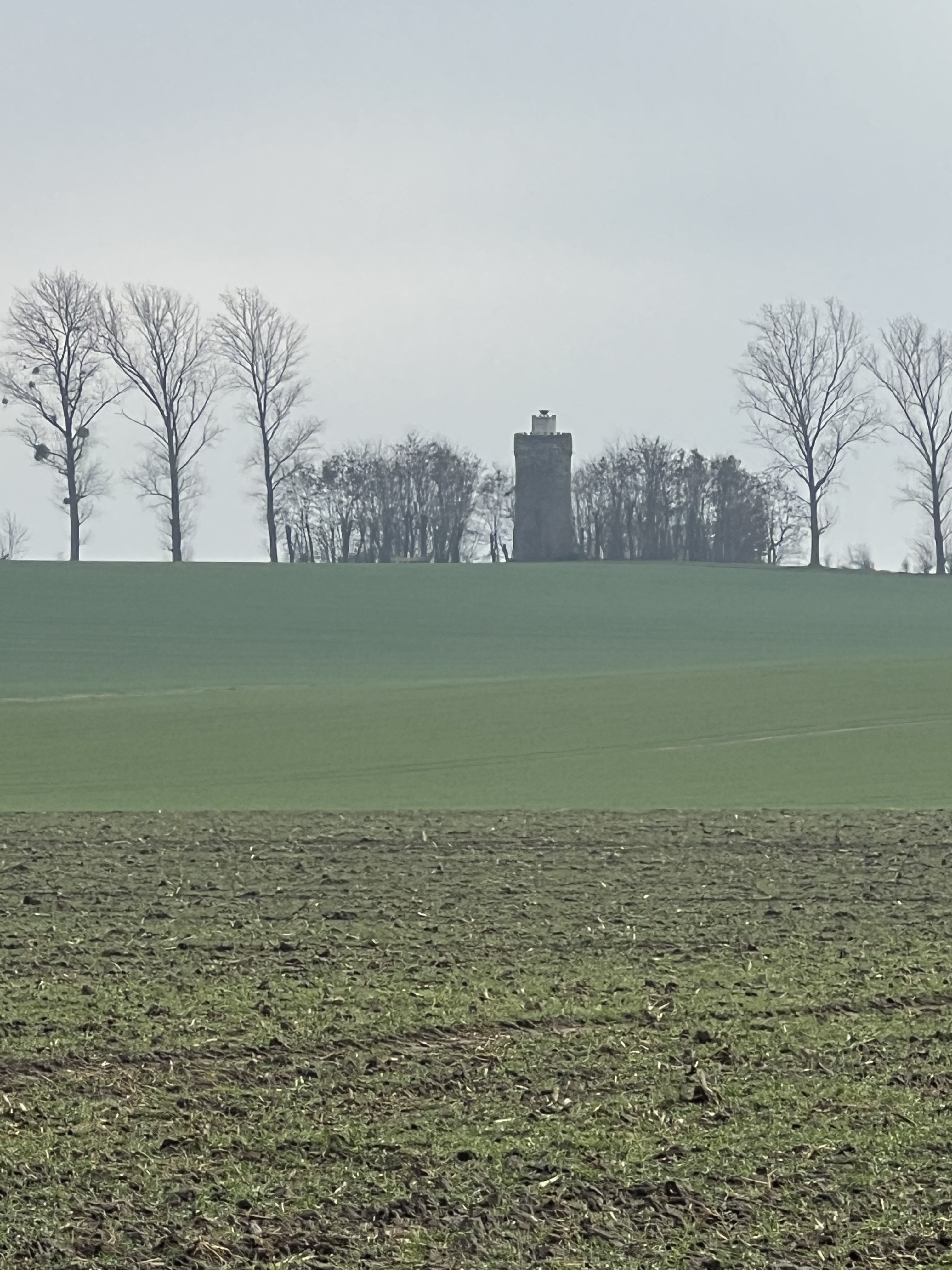 Fotoquelle: Ricarda Schmithausen