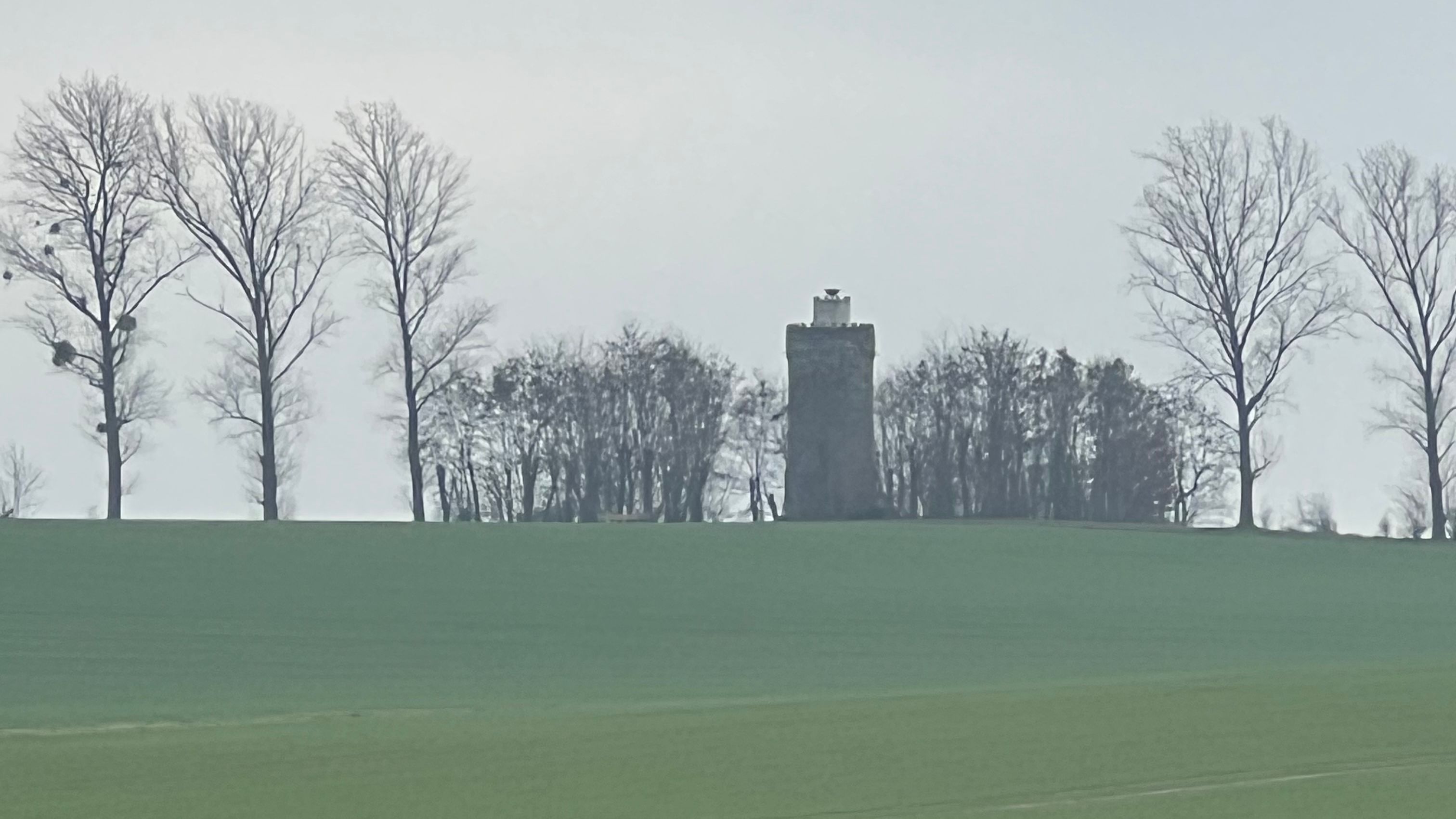 Fotoquelle: Ricarda Schmithausen