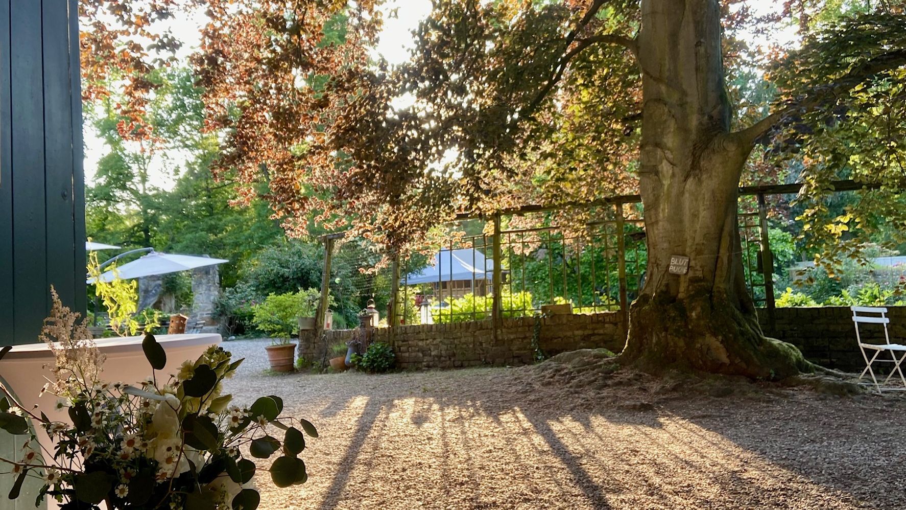 Fotoquelle: Birgit Kulmer