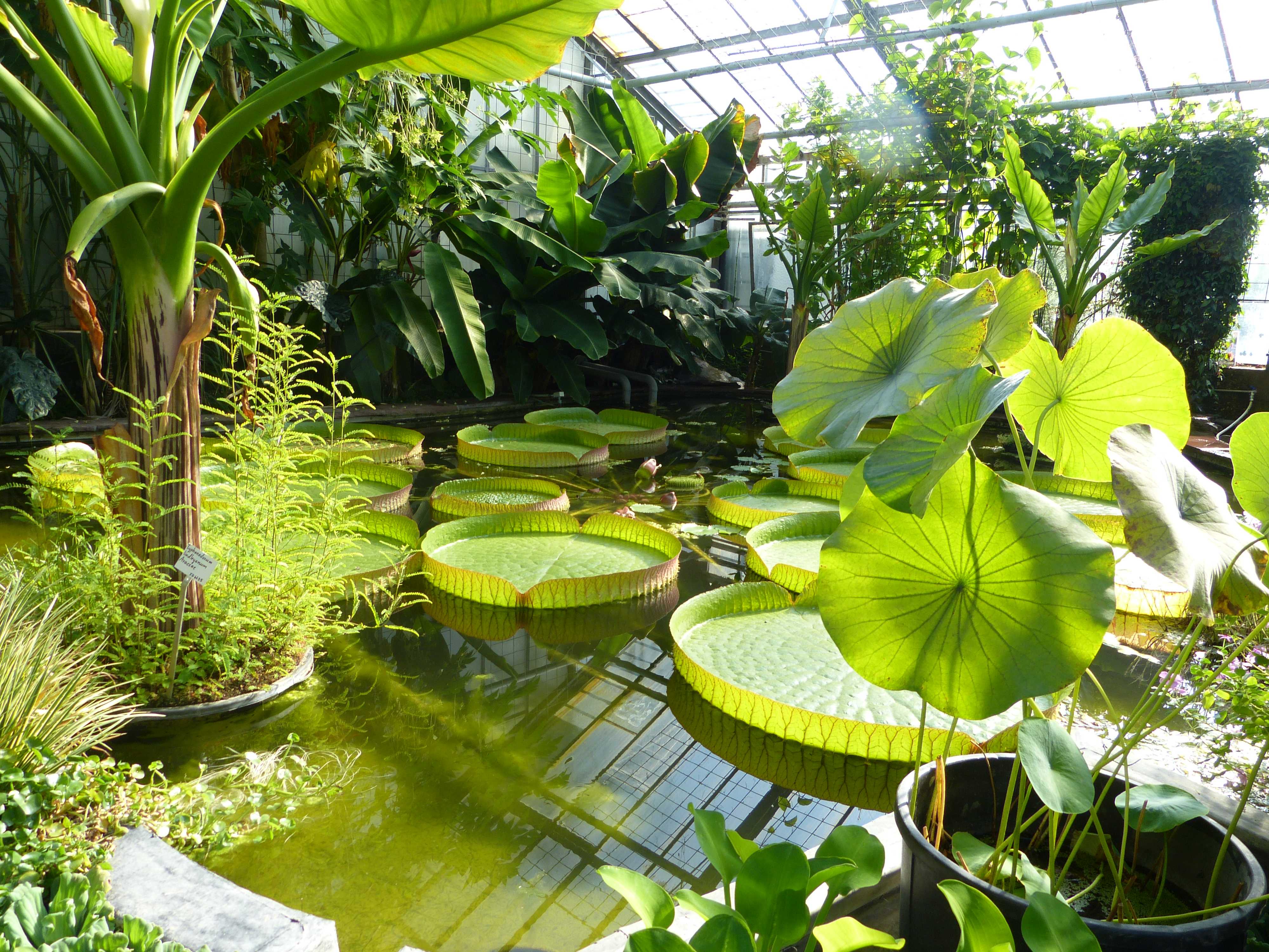 Fotoquelle: Beatrice Franz