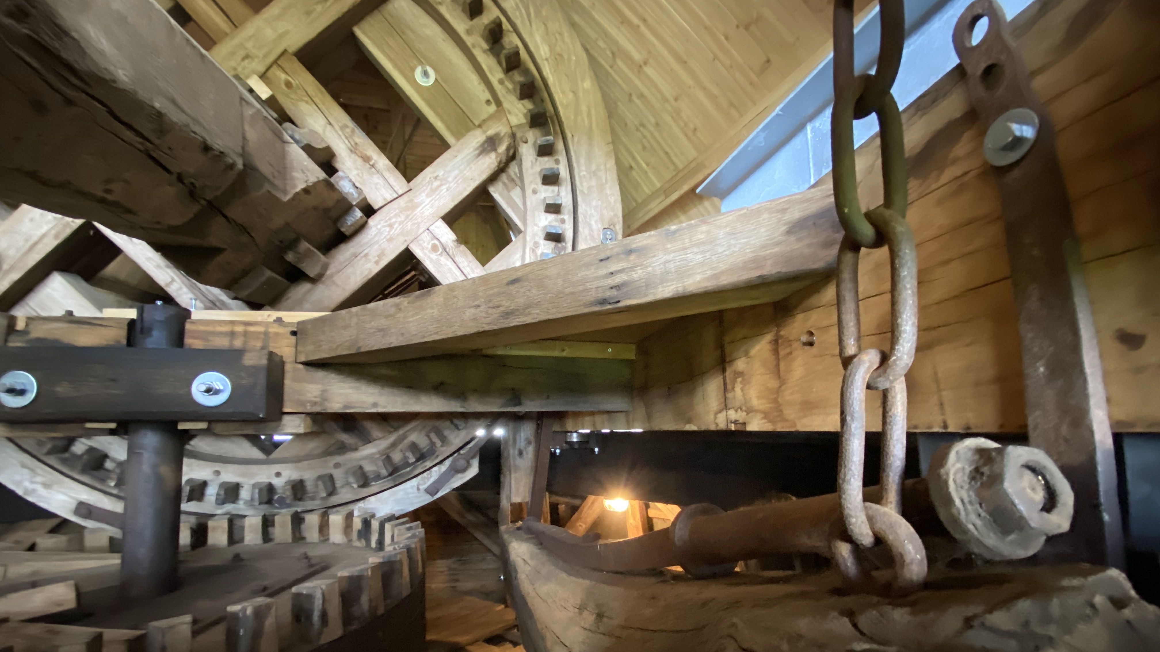 Fotoquelle: Aileen Hansing