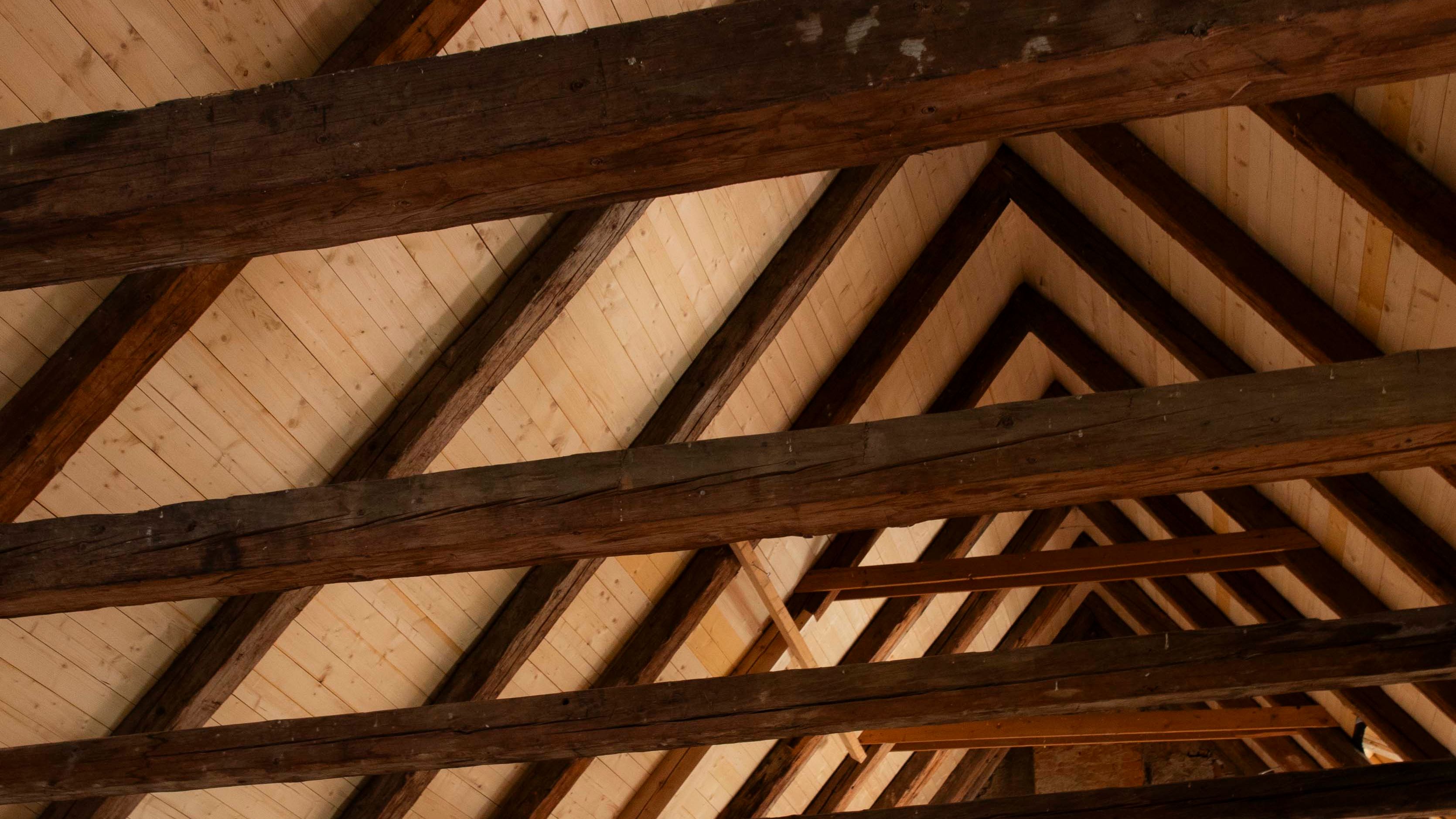 Fotoquelle: Johannes Haslinger