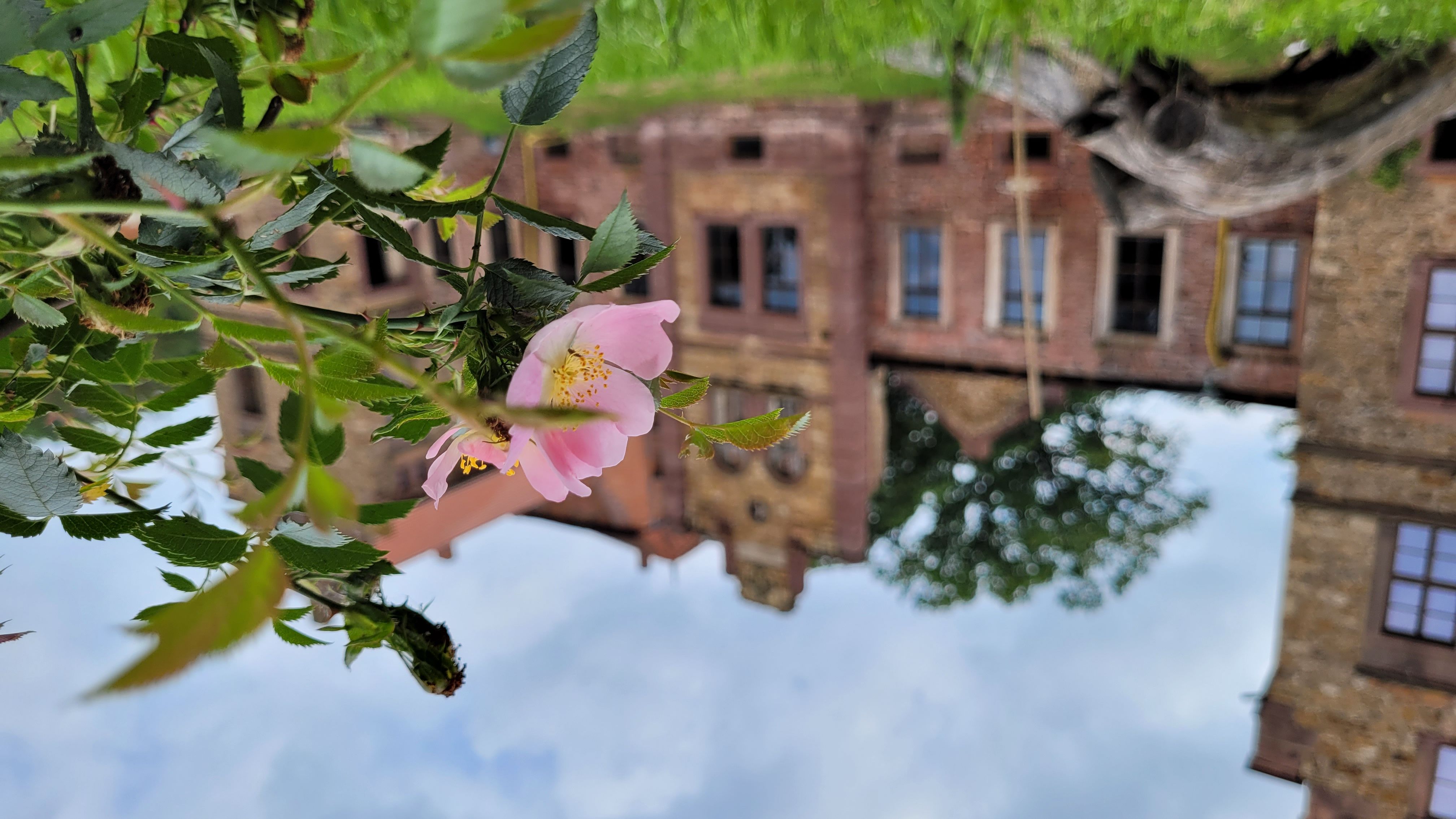 Fotoquelle: Jakob Jangel