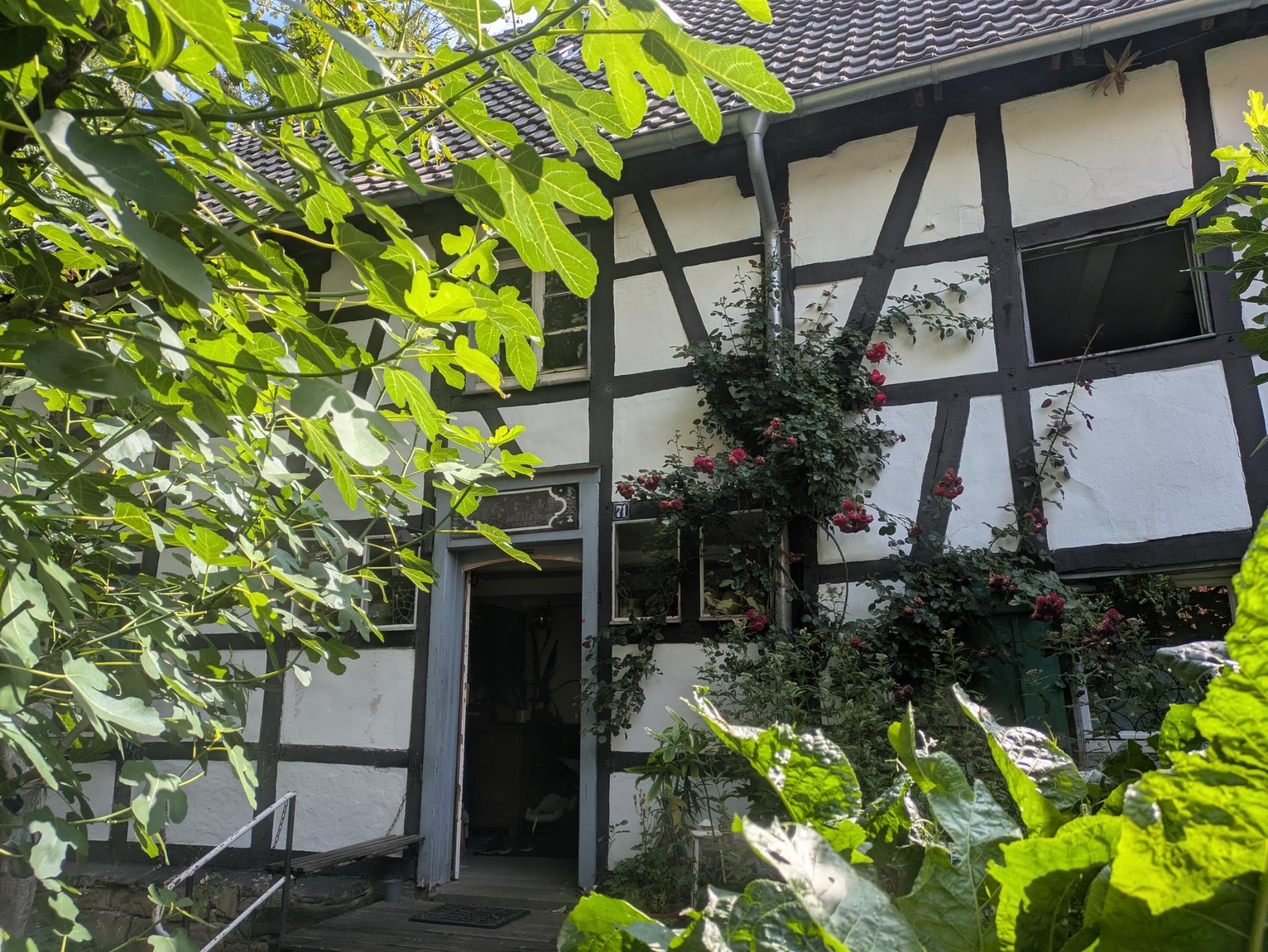 Fotoquelle: Miriam Liese