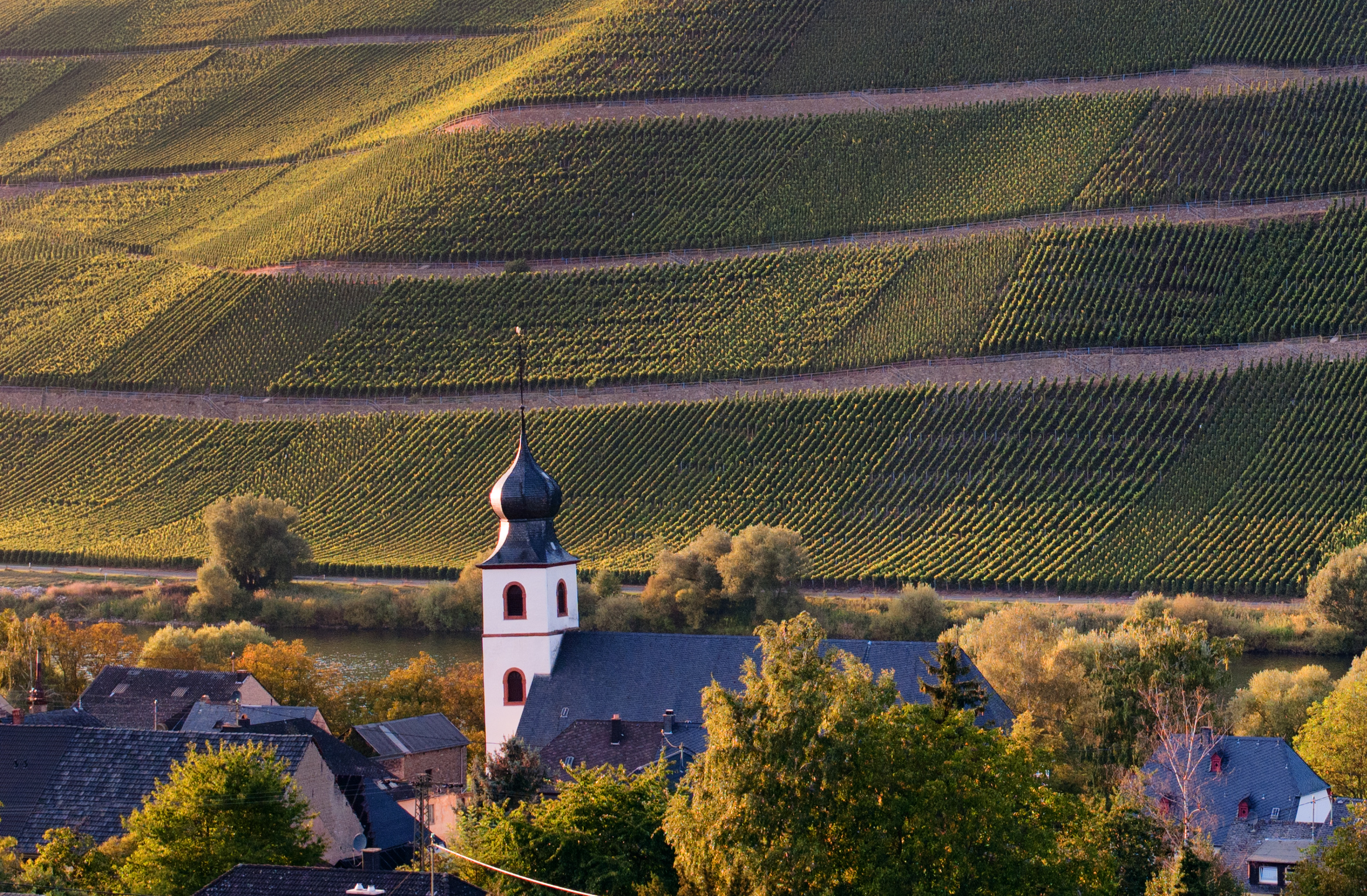 Fotoquelle: Christopher Arnoldi, Altrich