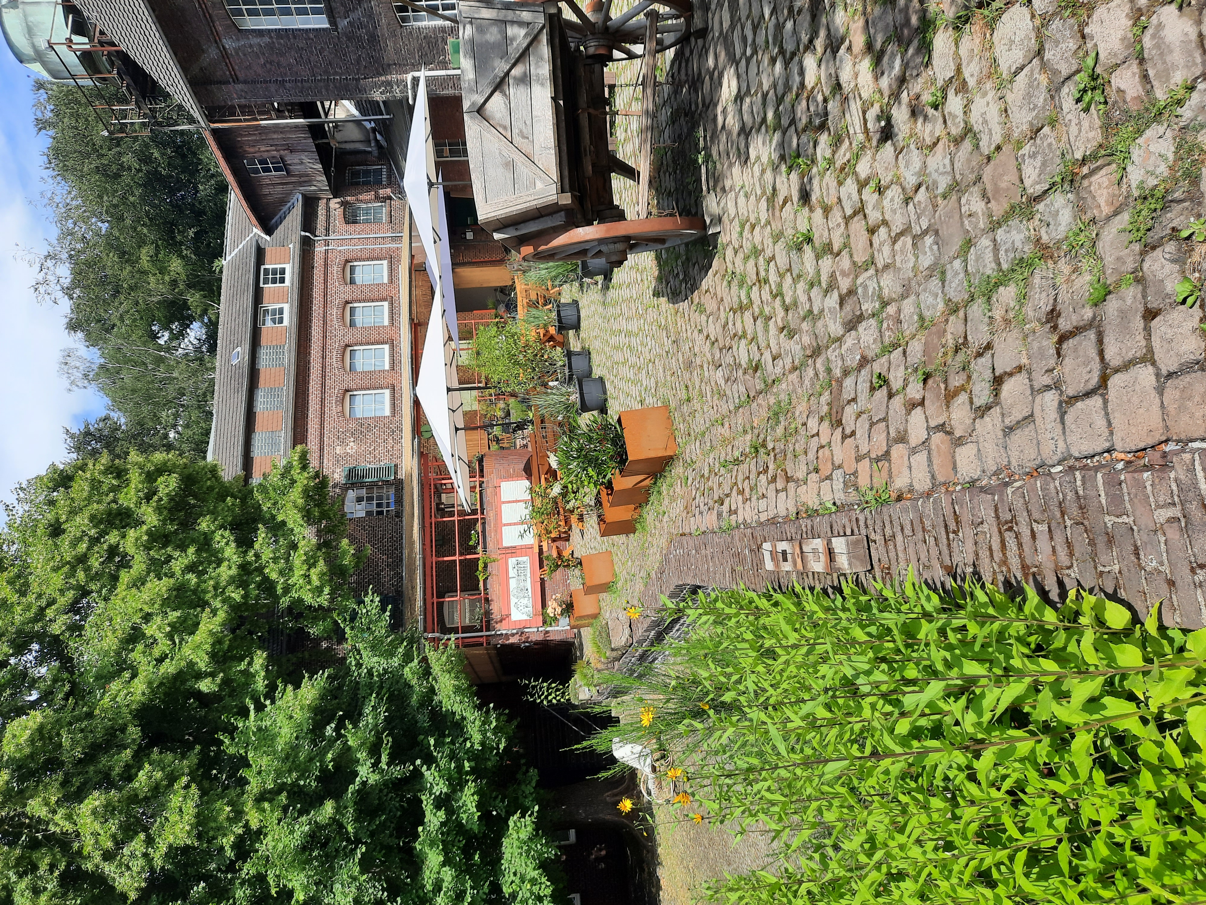 Fotoquelle: KArin Ahlrichs