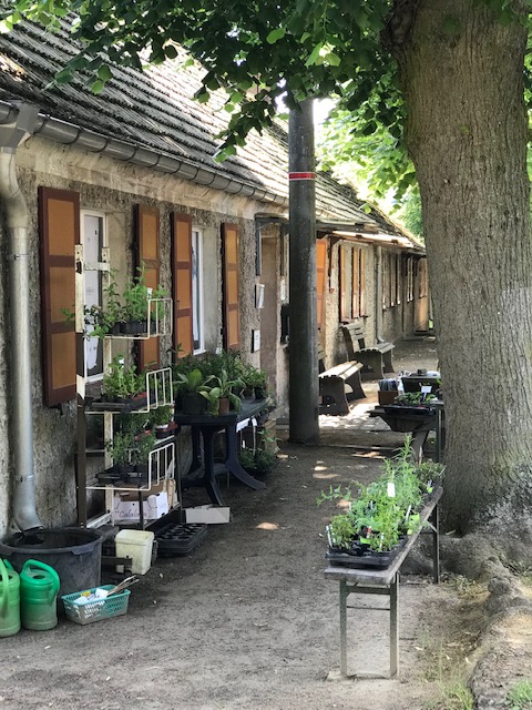 Fotoquelle: Verein Langes Haus Altfriedland