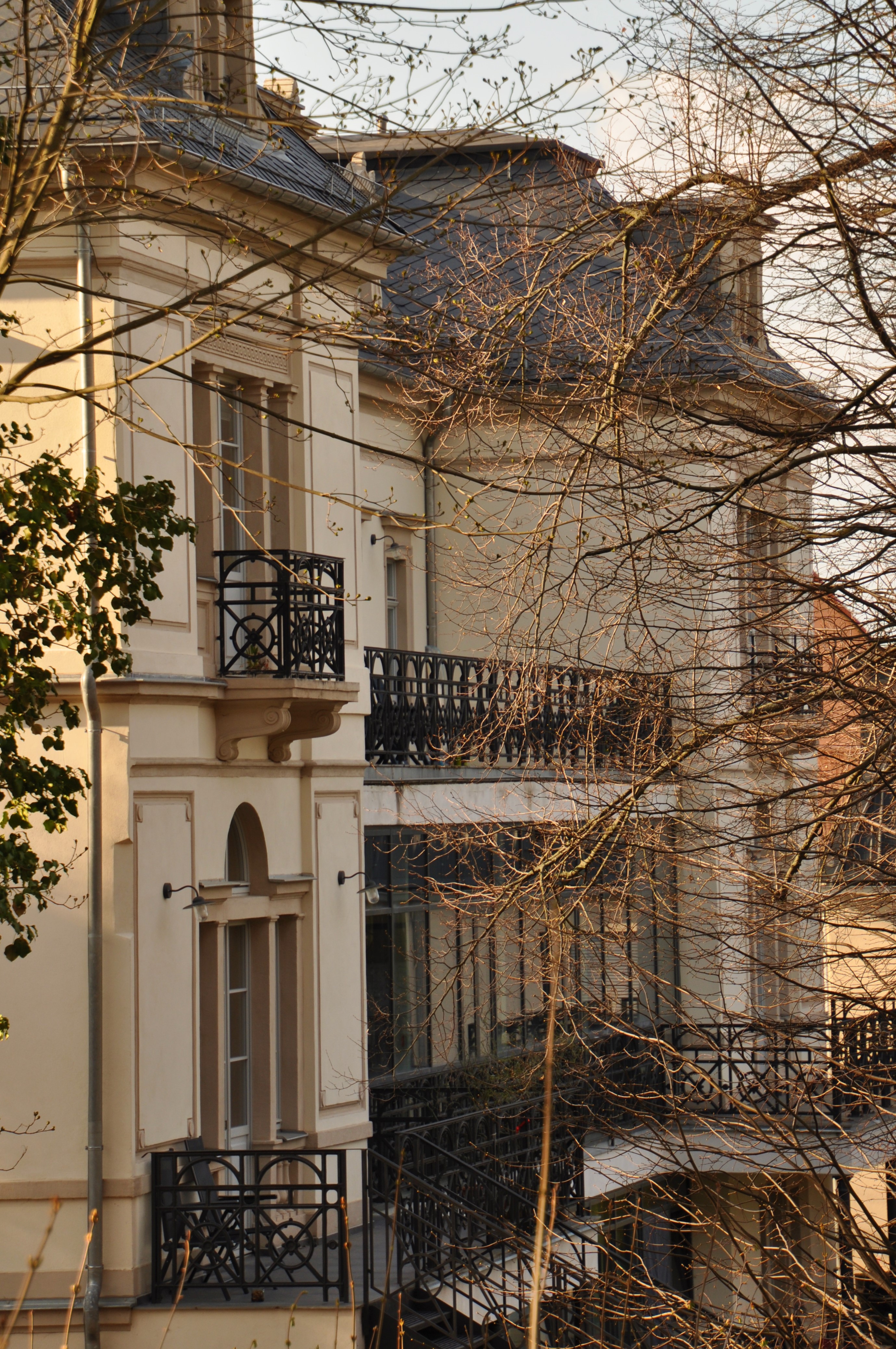 Fotoquelle: Dr. Reinhard Plüschke