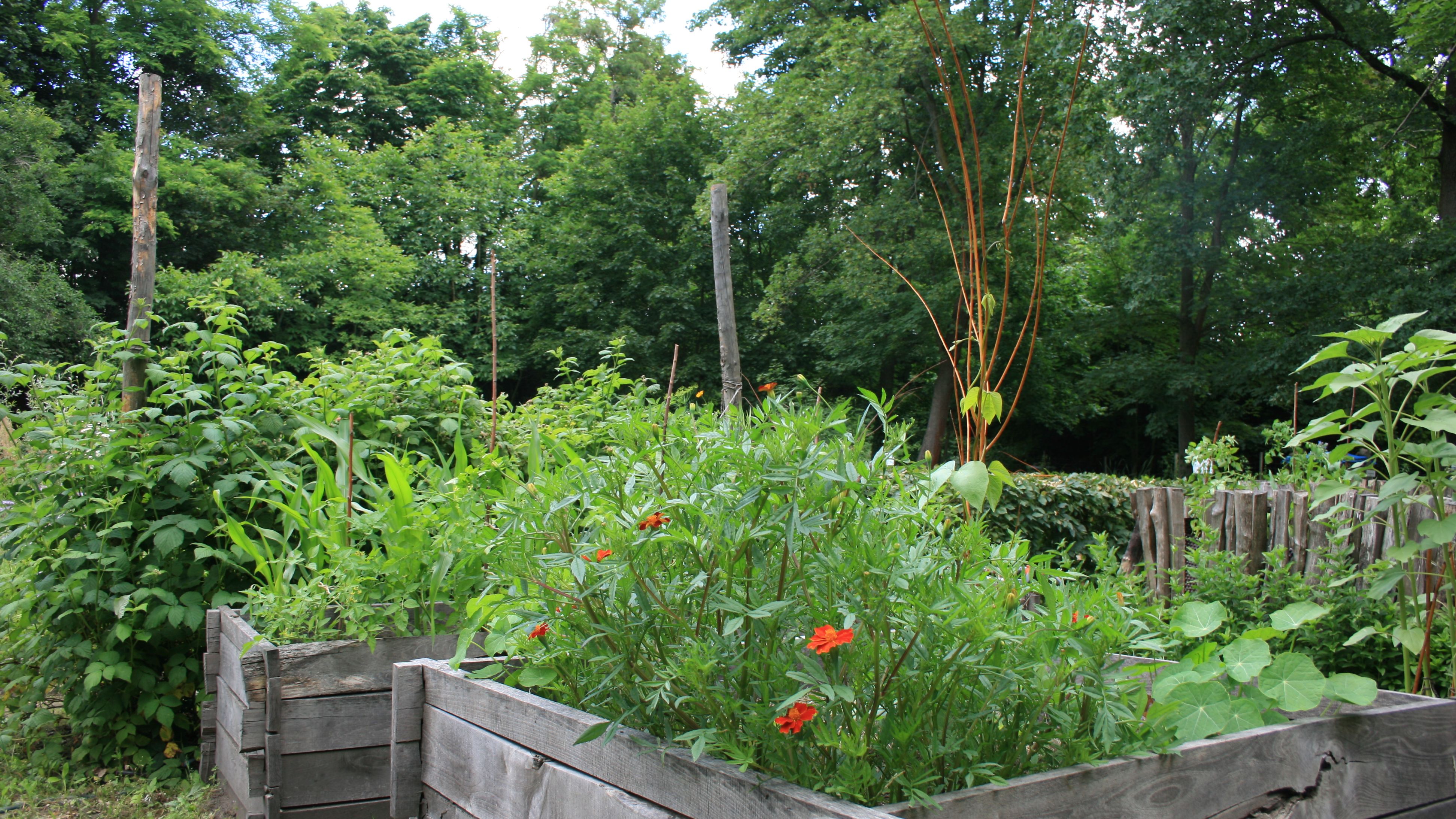 Fotoquelle: atz welzow