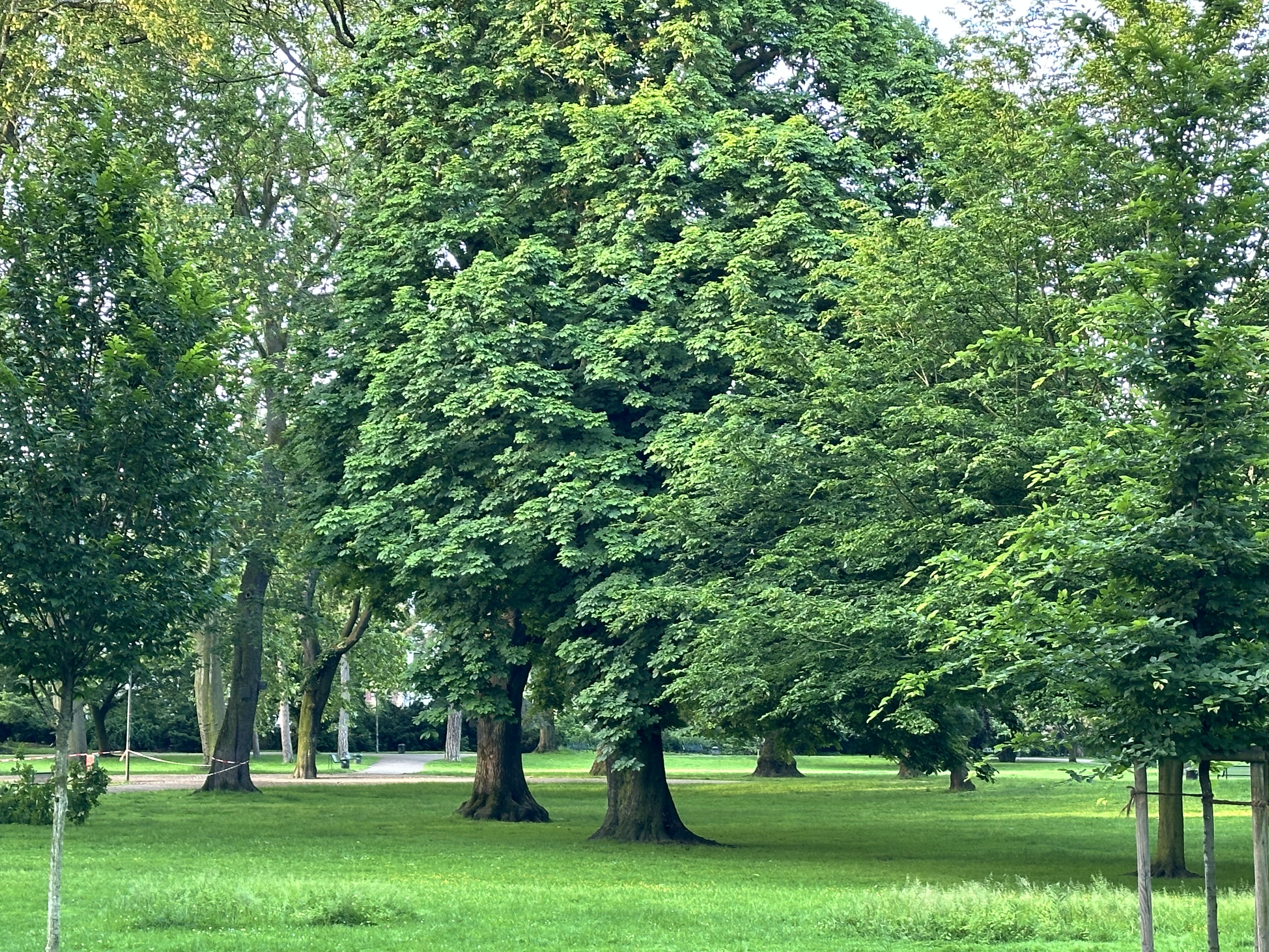 Fotoquelle: Iris Pinkepank