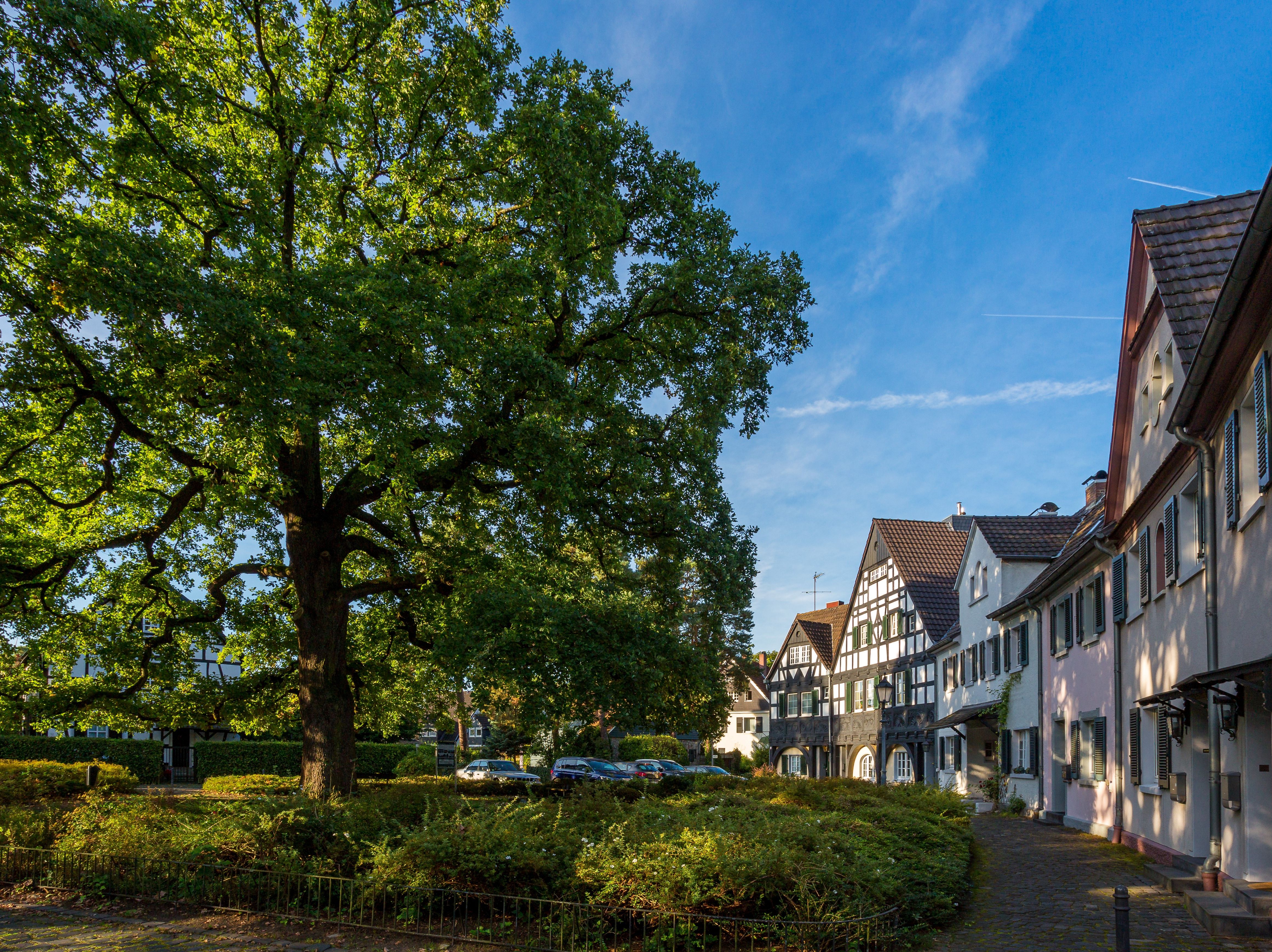 Gartensiedlung Gronauer Wald