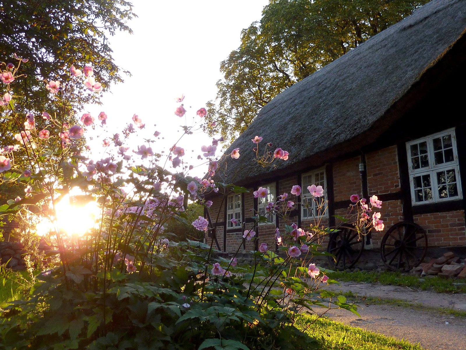 Pfarrwitwenhaus Hohenmocker