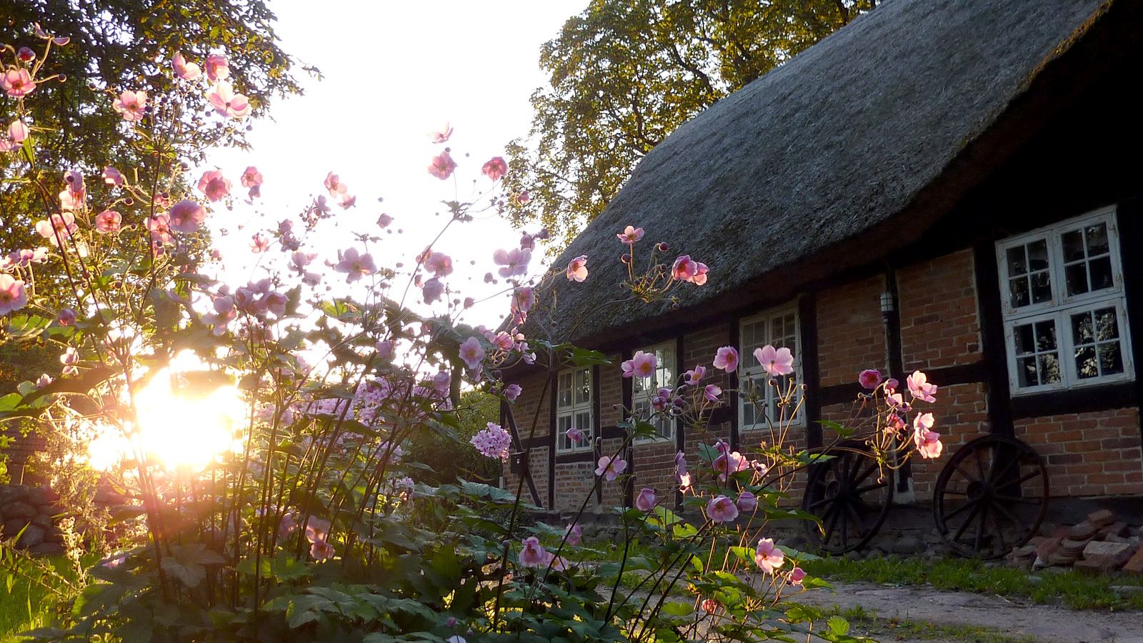 Pfarrwitwenhaus Hohenmocker