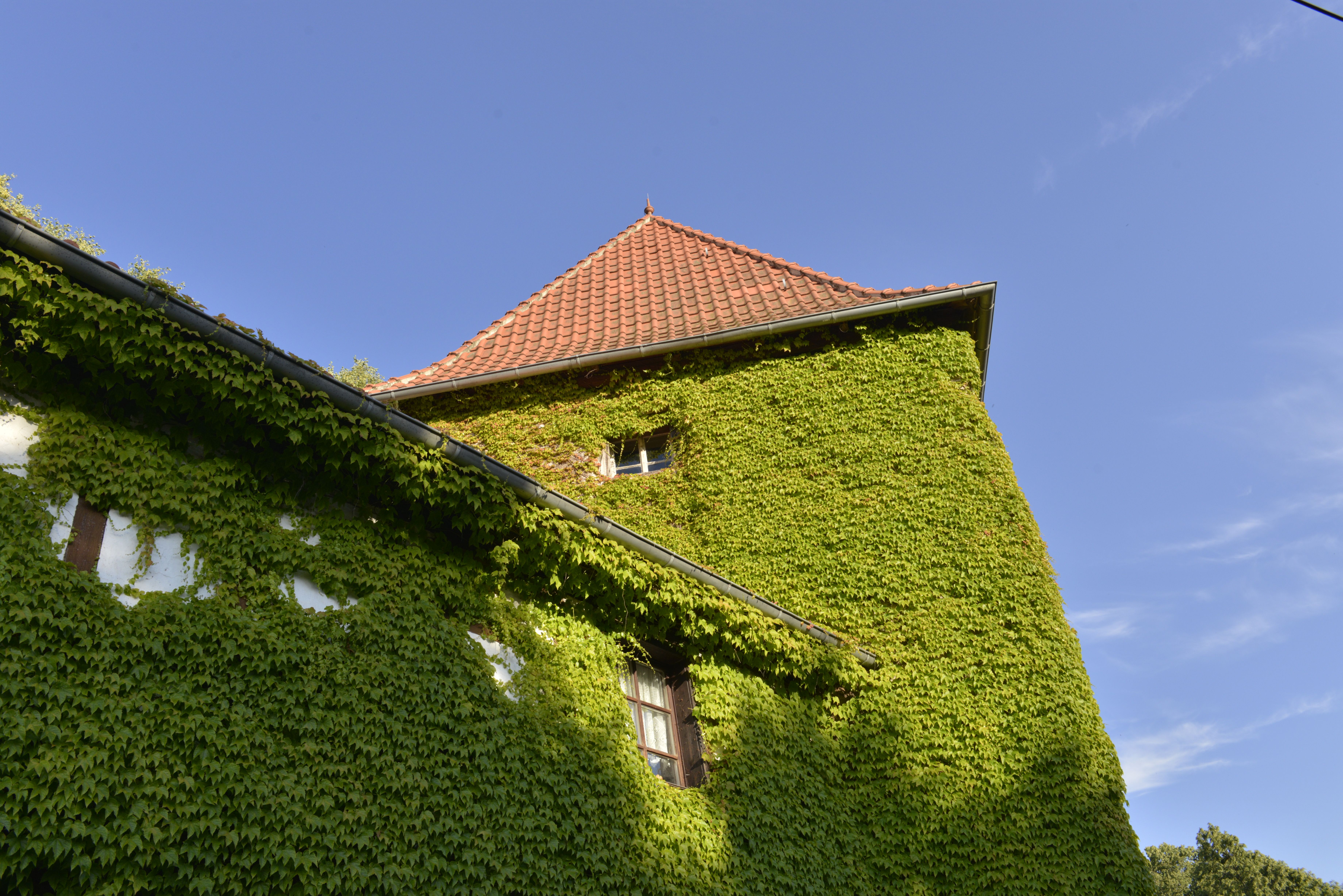 Fotoquelle: Mathias Haupt
