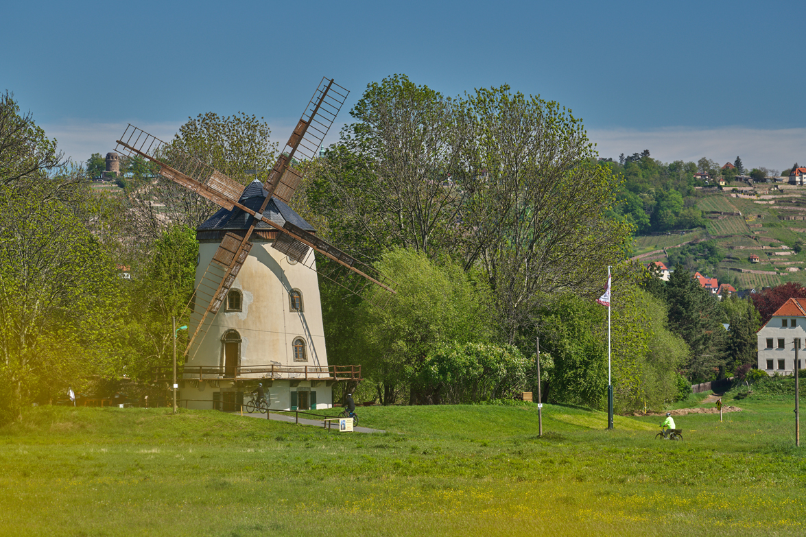 Fotoquelle: Thomas Lein