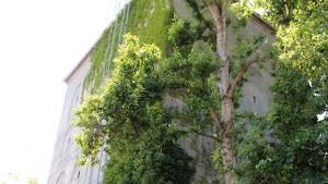 Fotoquelle: Arbeitskreis-Bunkermuseum-Ludwigshafen e.V.