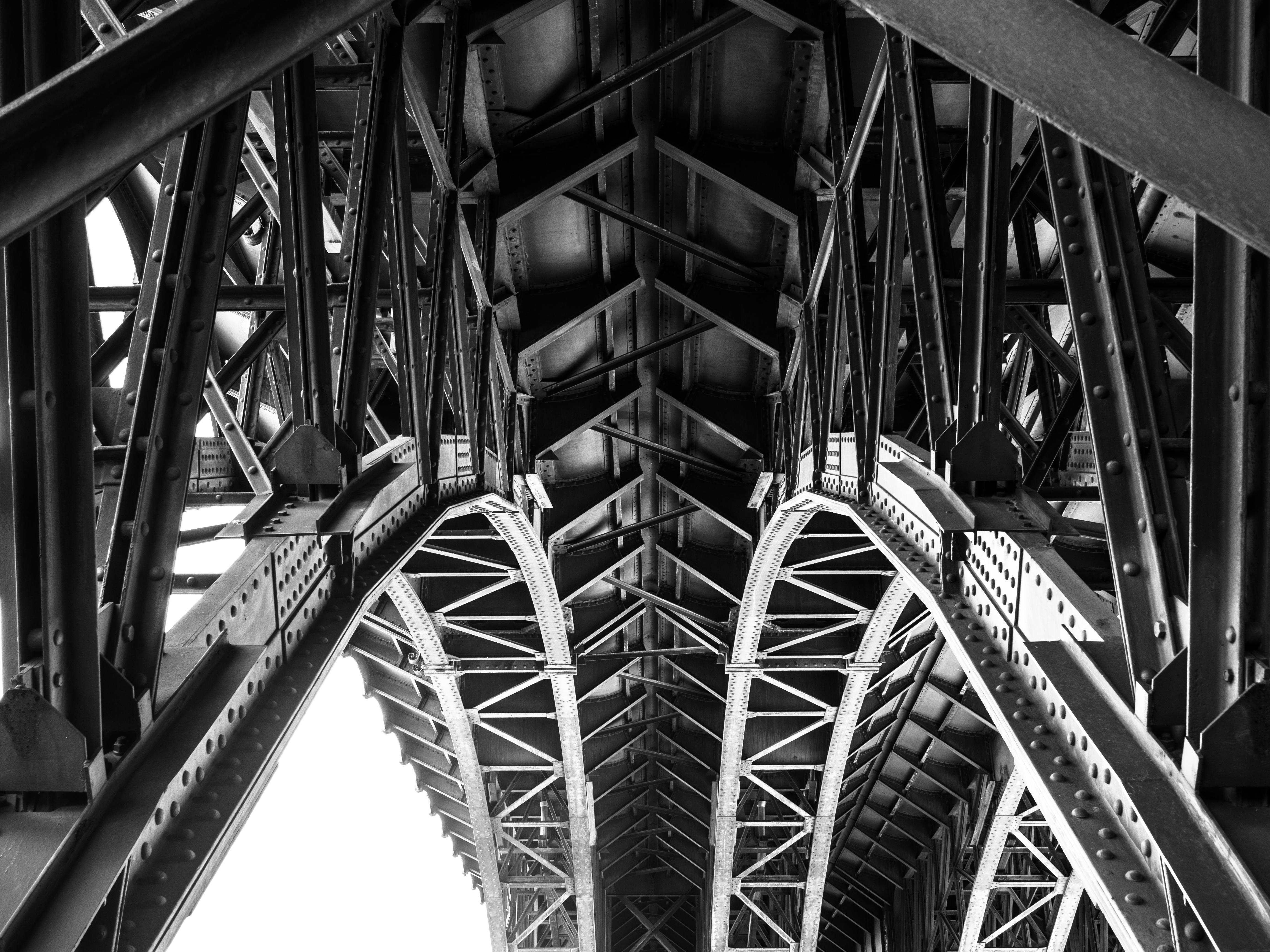 Fotoquelle: J. Rödel