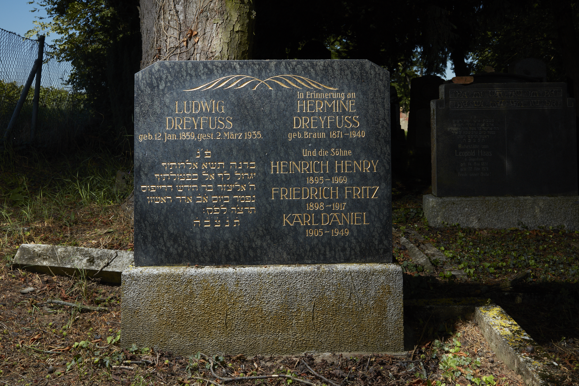 Fotoquelle: Michael Weis