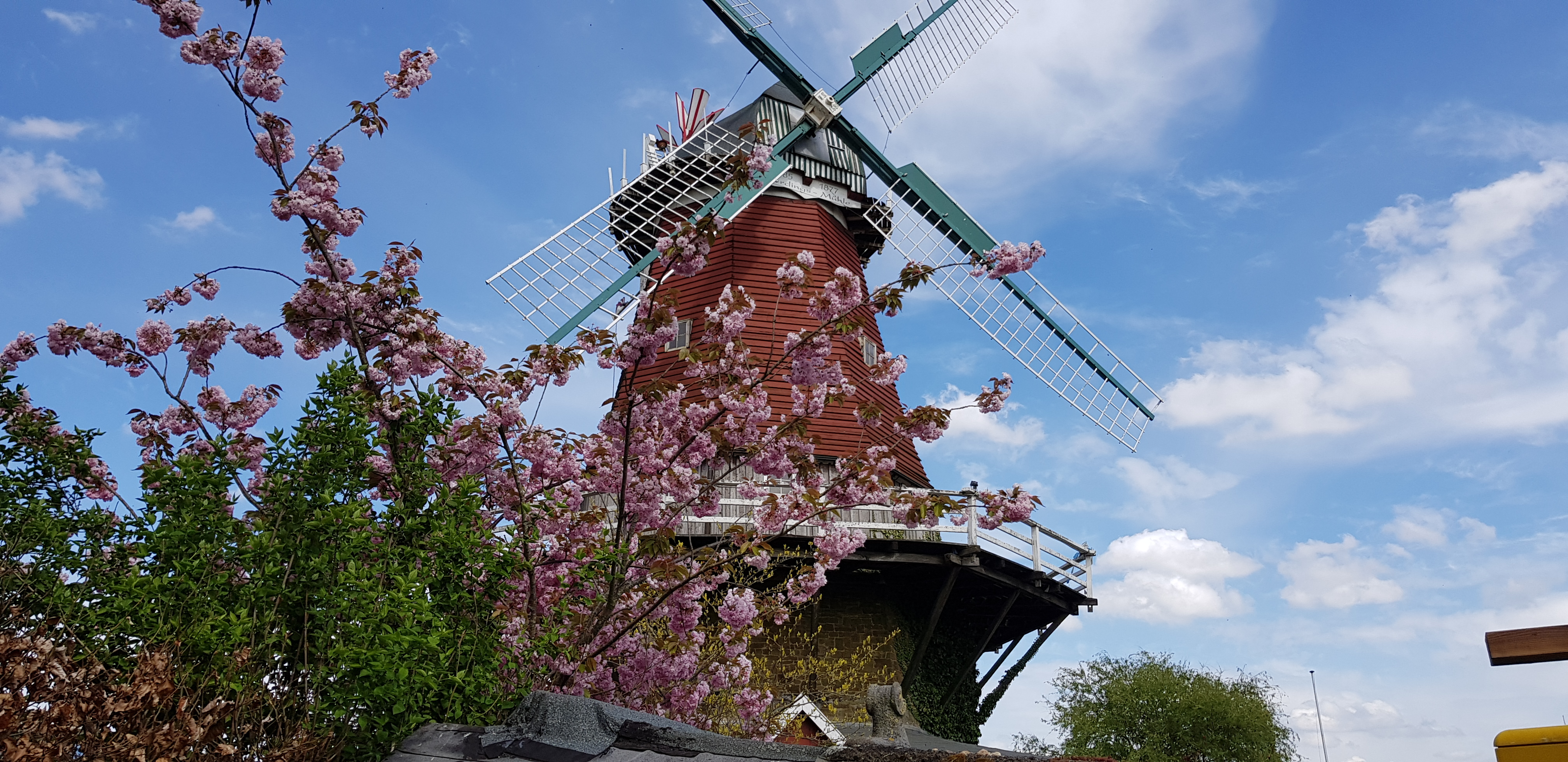 Fotoquelle: Erich Everding