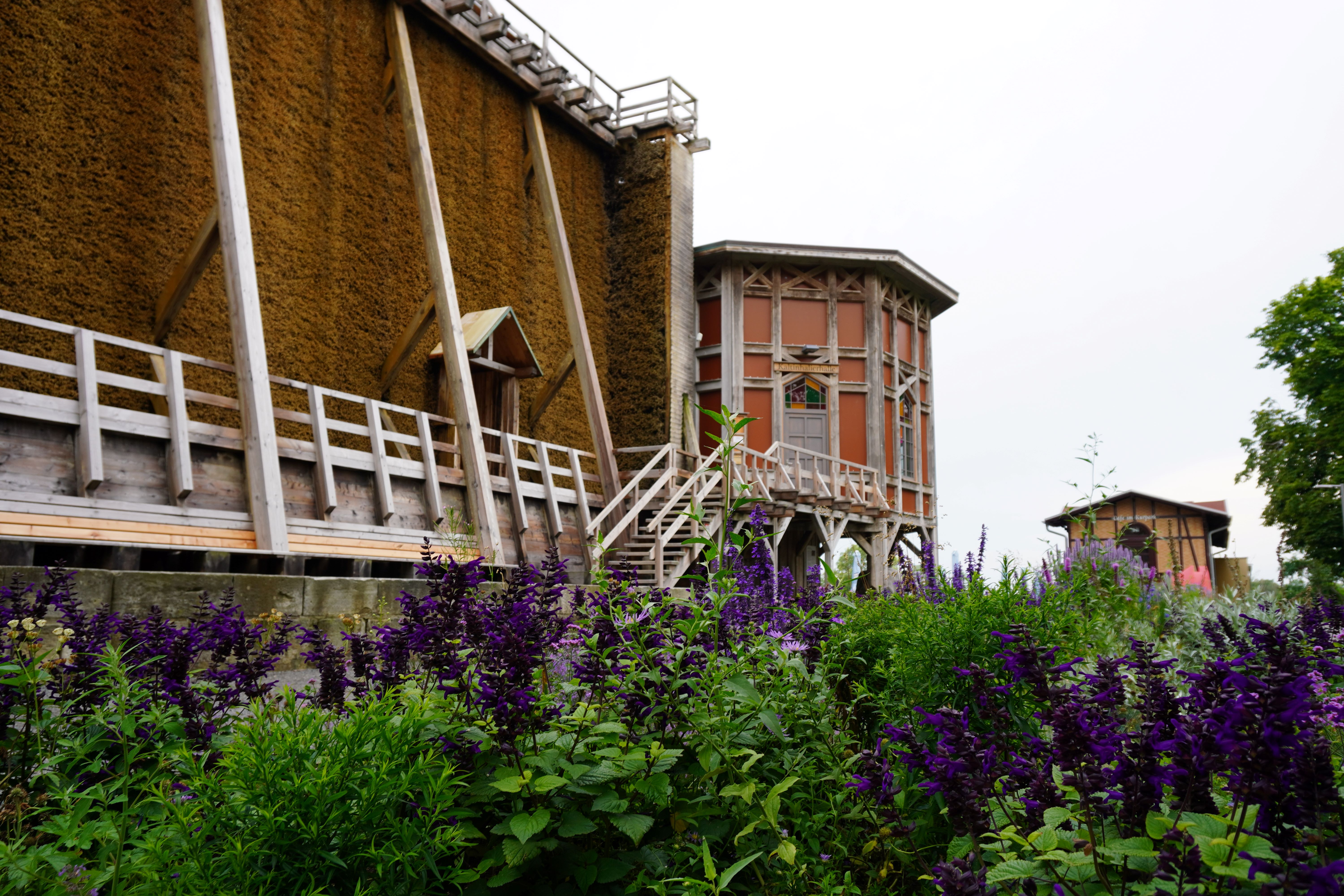 Fotoquelle: Laura Weihrauch