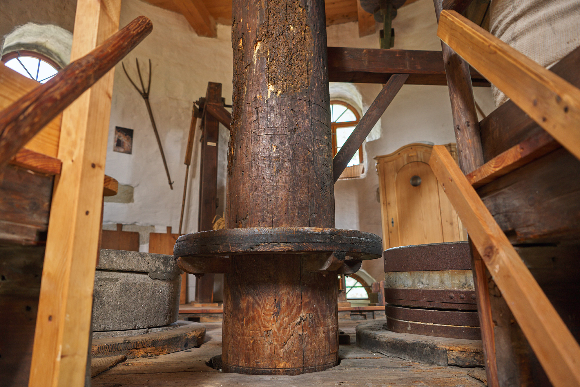 Fotoquelle: Thomas Lein