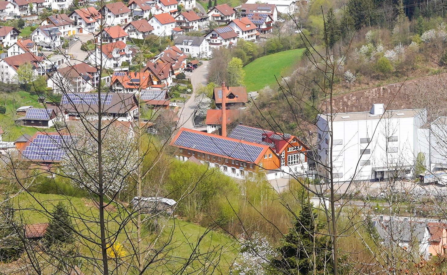 Fotoquelle: Michael Buzzi