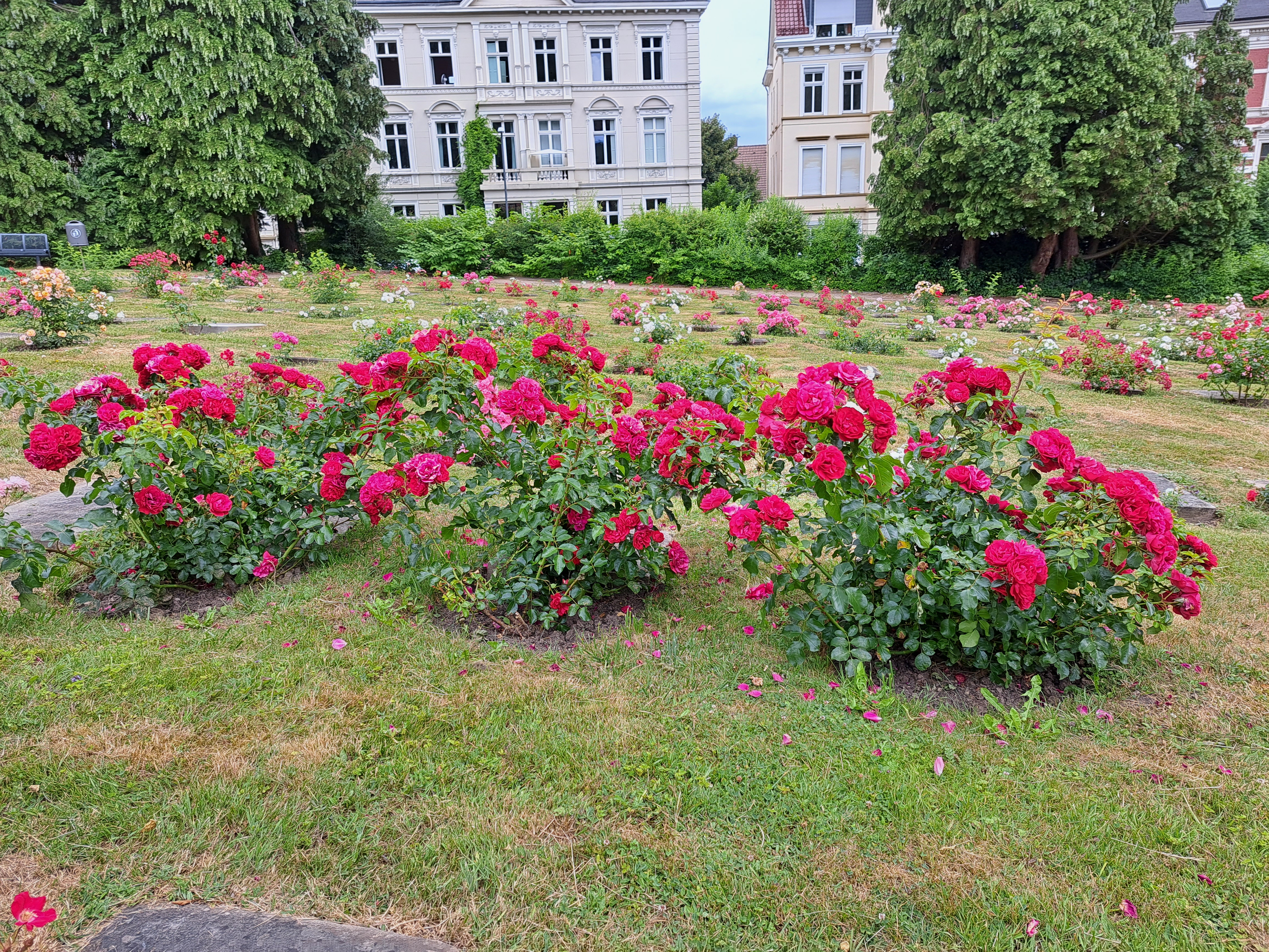Fotoquelle: Gudrun Stengel