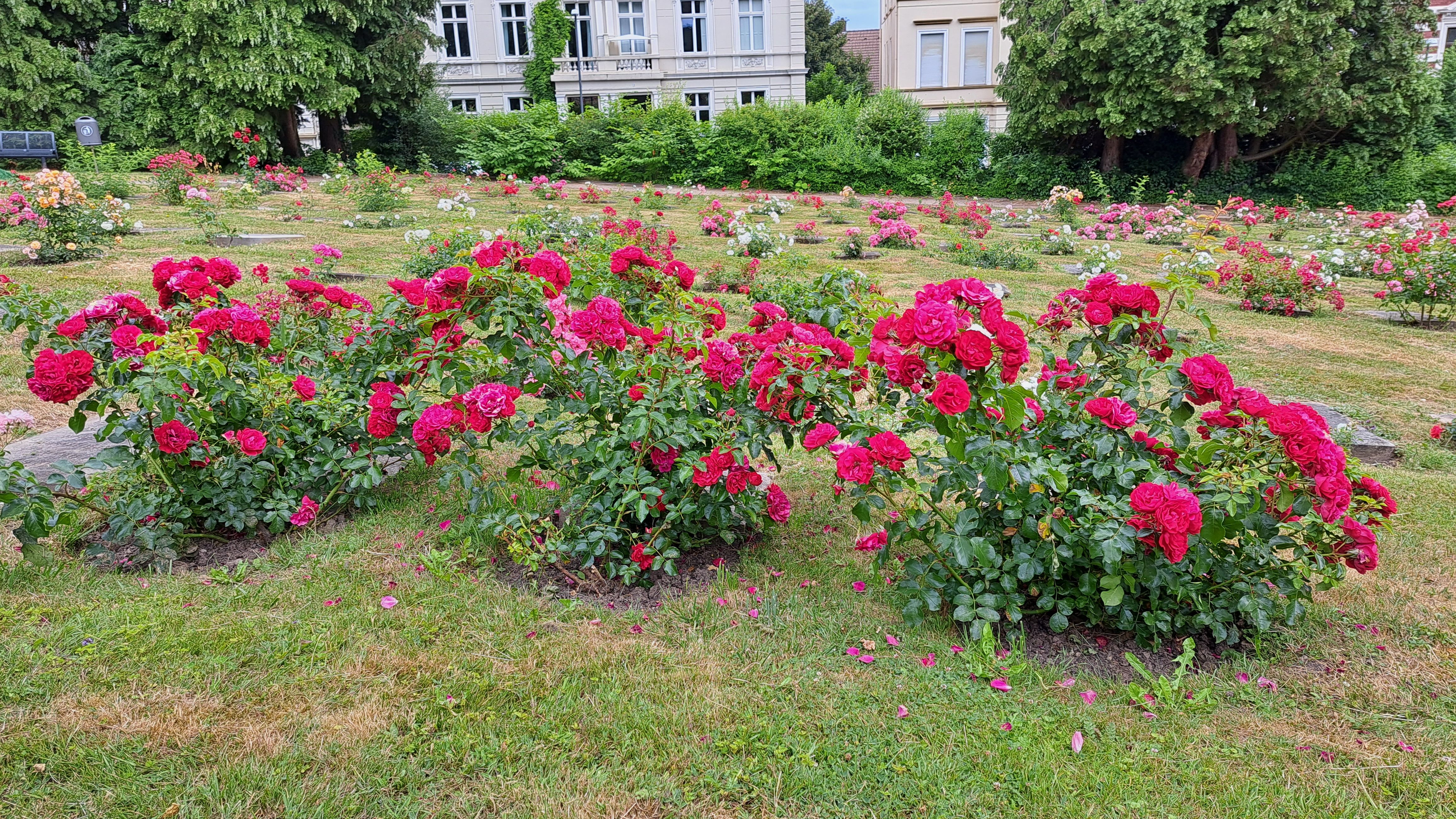 Fotoquelle: Gudrun Stengel
