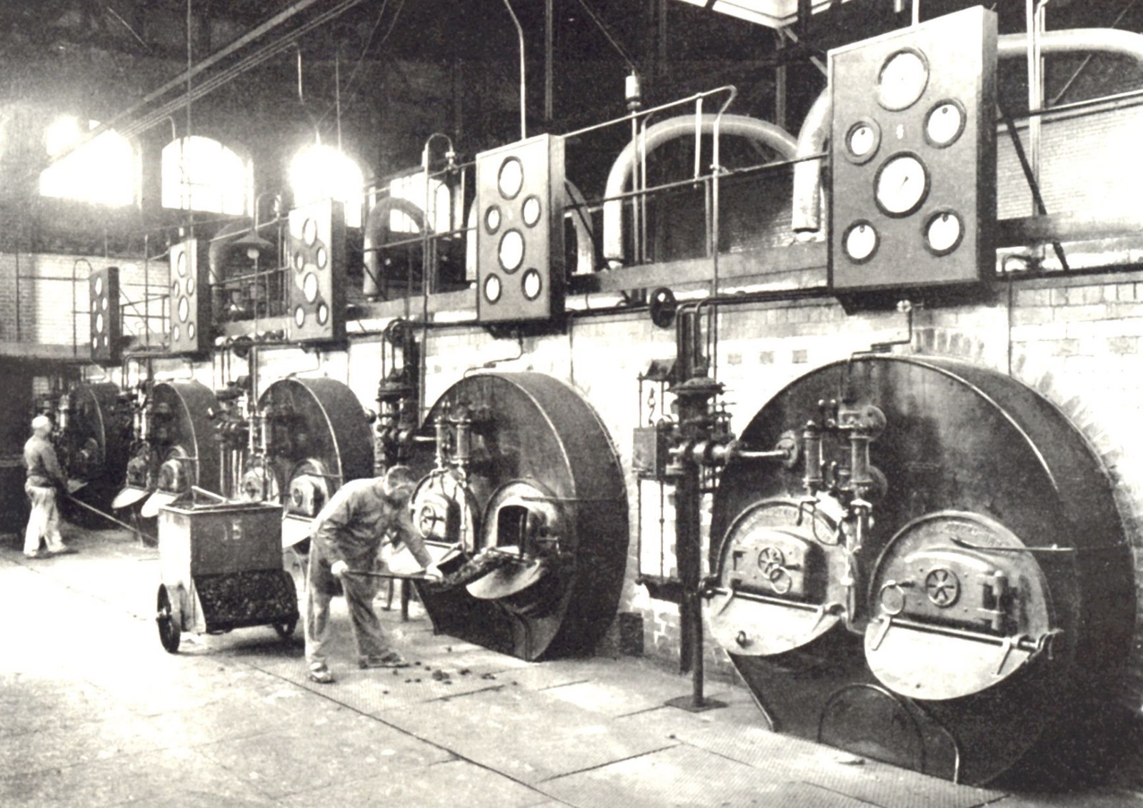 Fotoquelle: Dr Elke Seidel