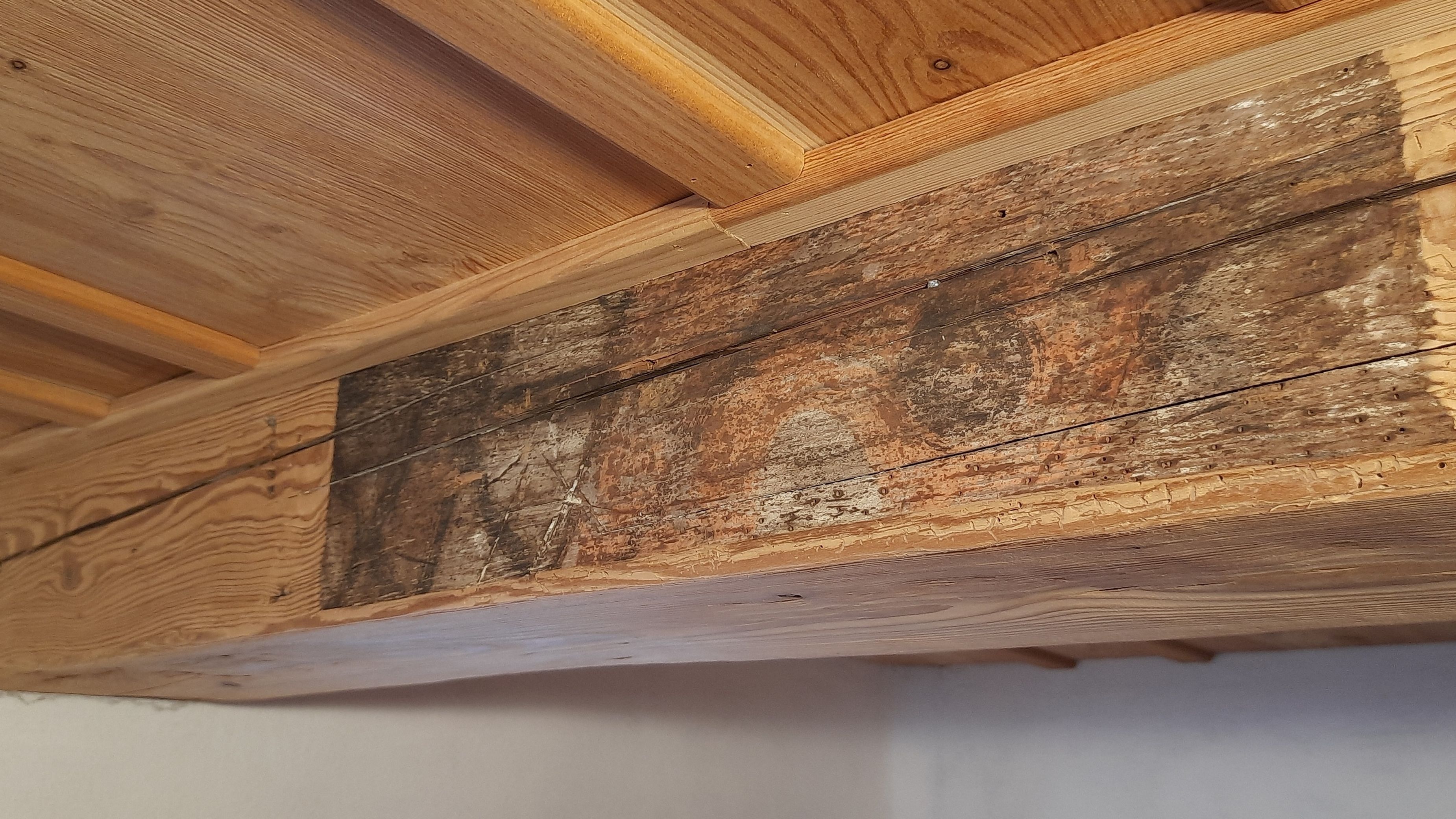 Fotoquelle: Carsten Schmidt