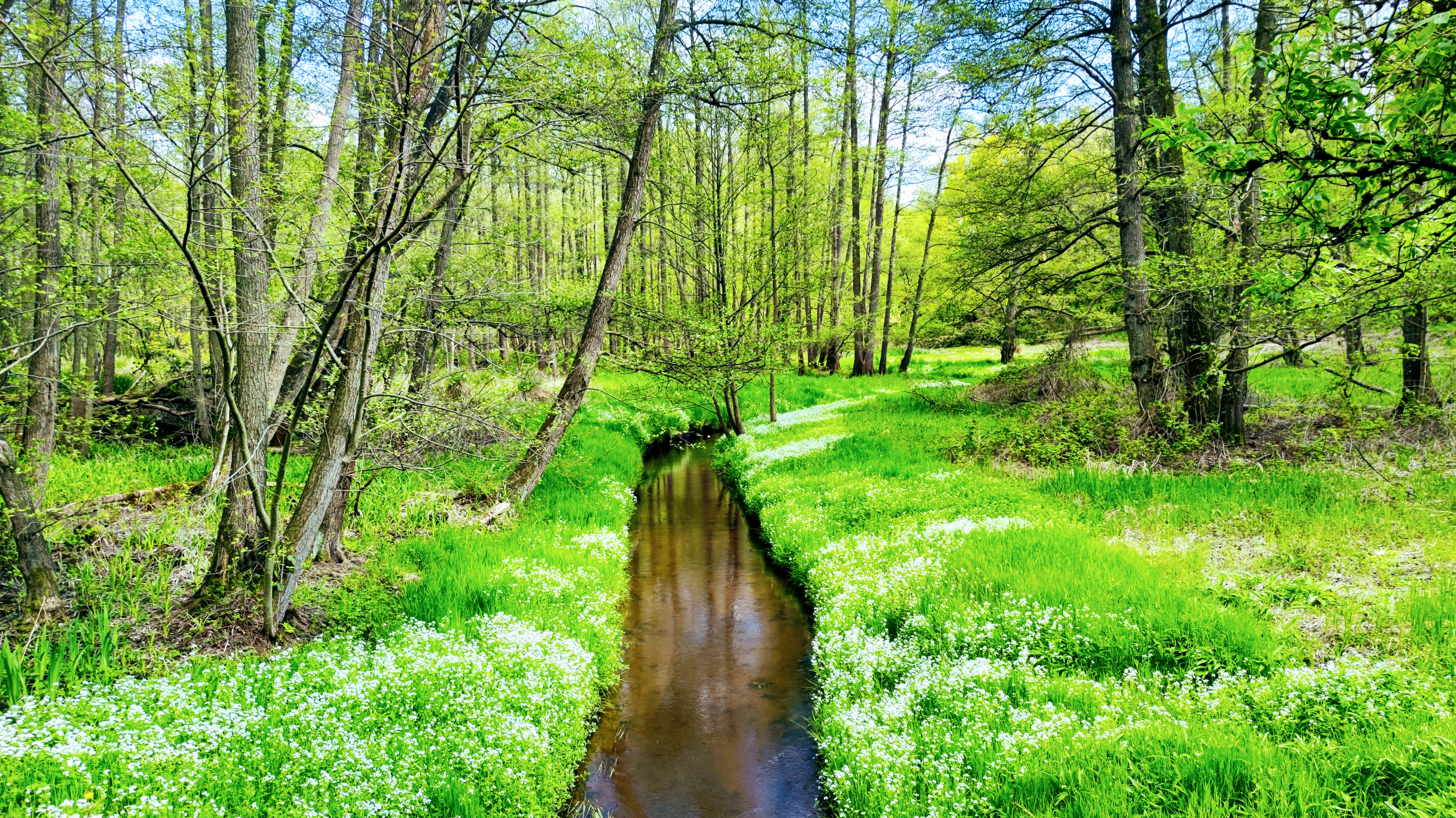 Fotoquelle: Silke Perin