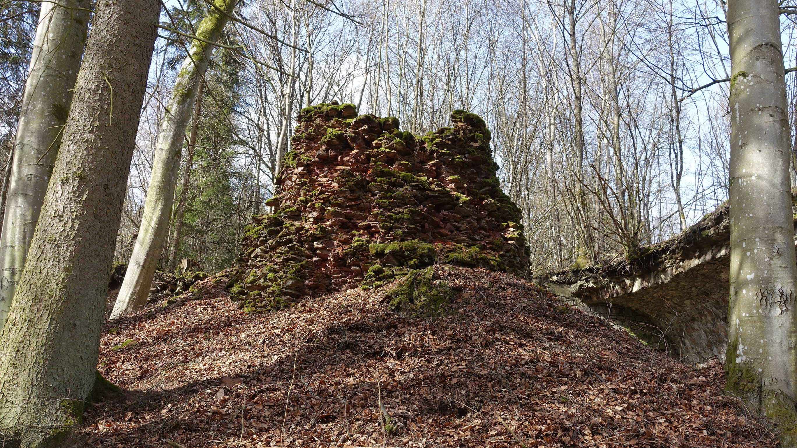 Fotoquelle: Susanne Greiff