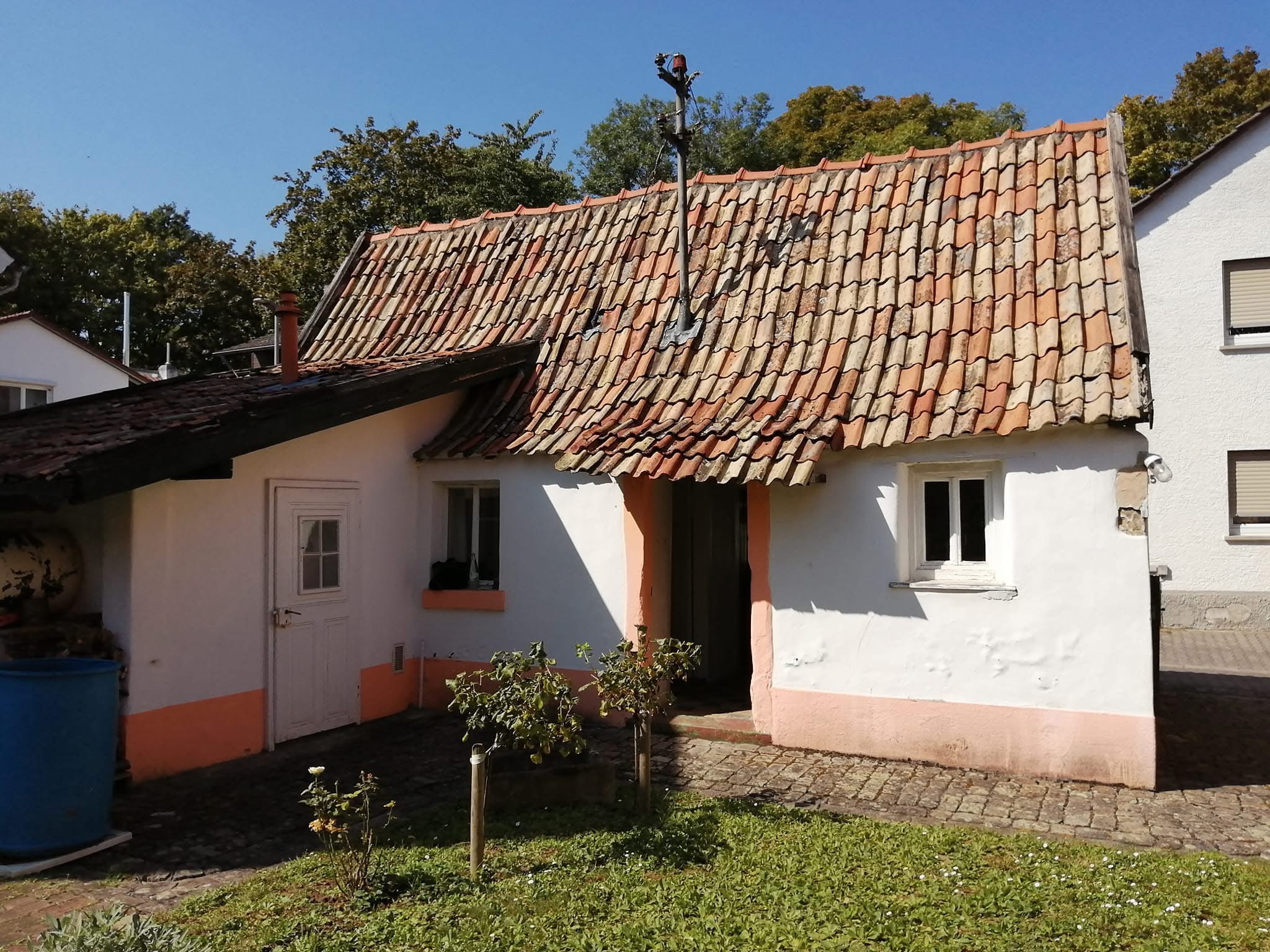 Fotoquelle: Brendan Botheroyd