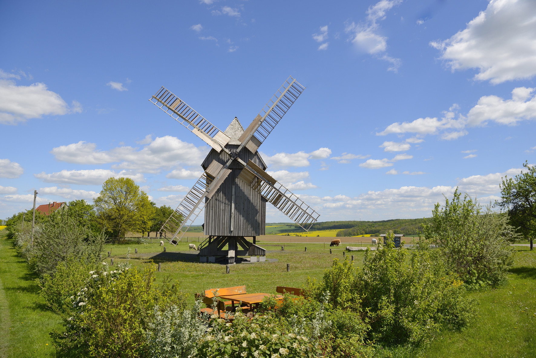 Fotoquelle: Karsten Seifert