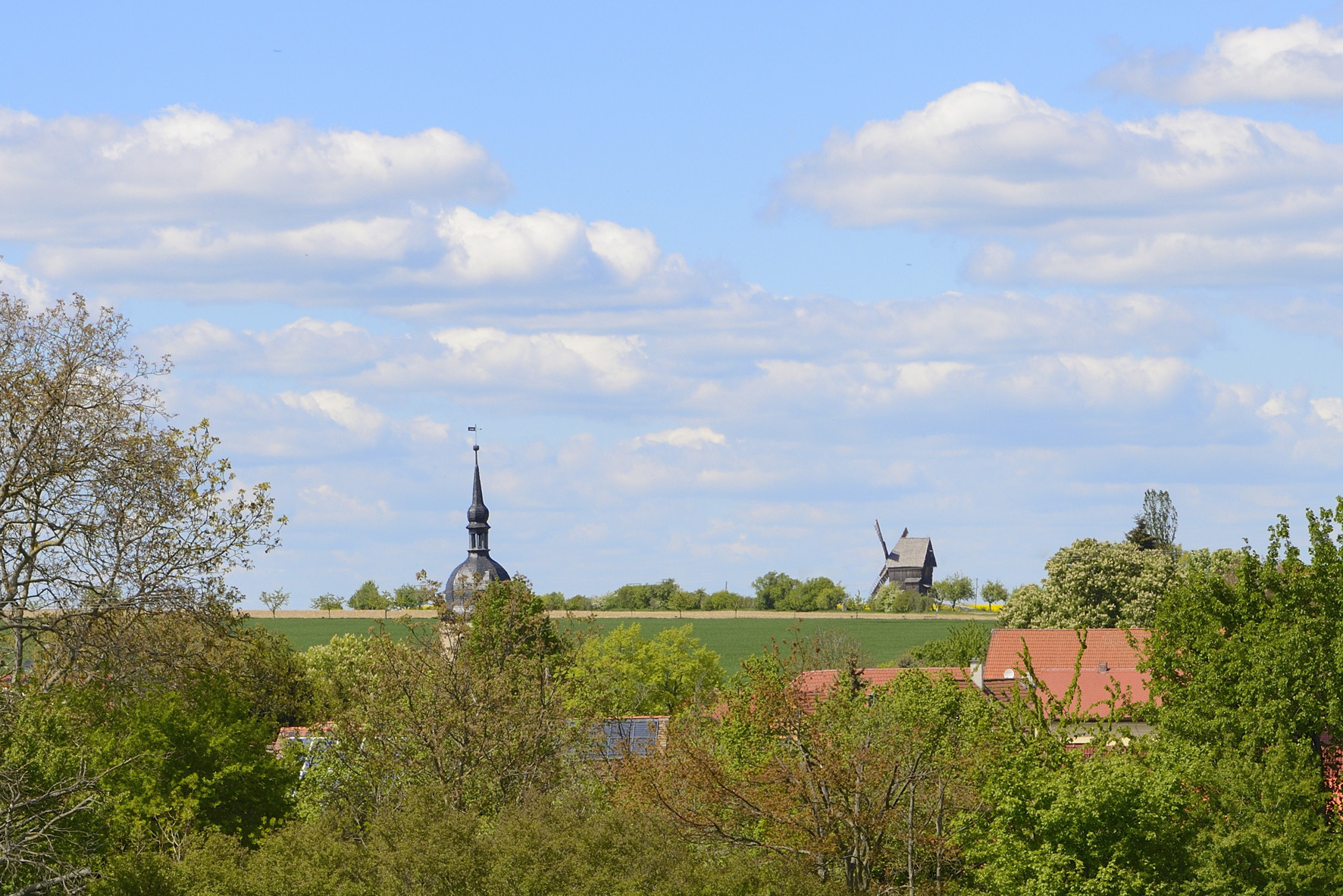 Fotoquelle: Karsten Seifert