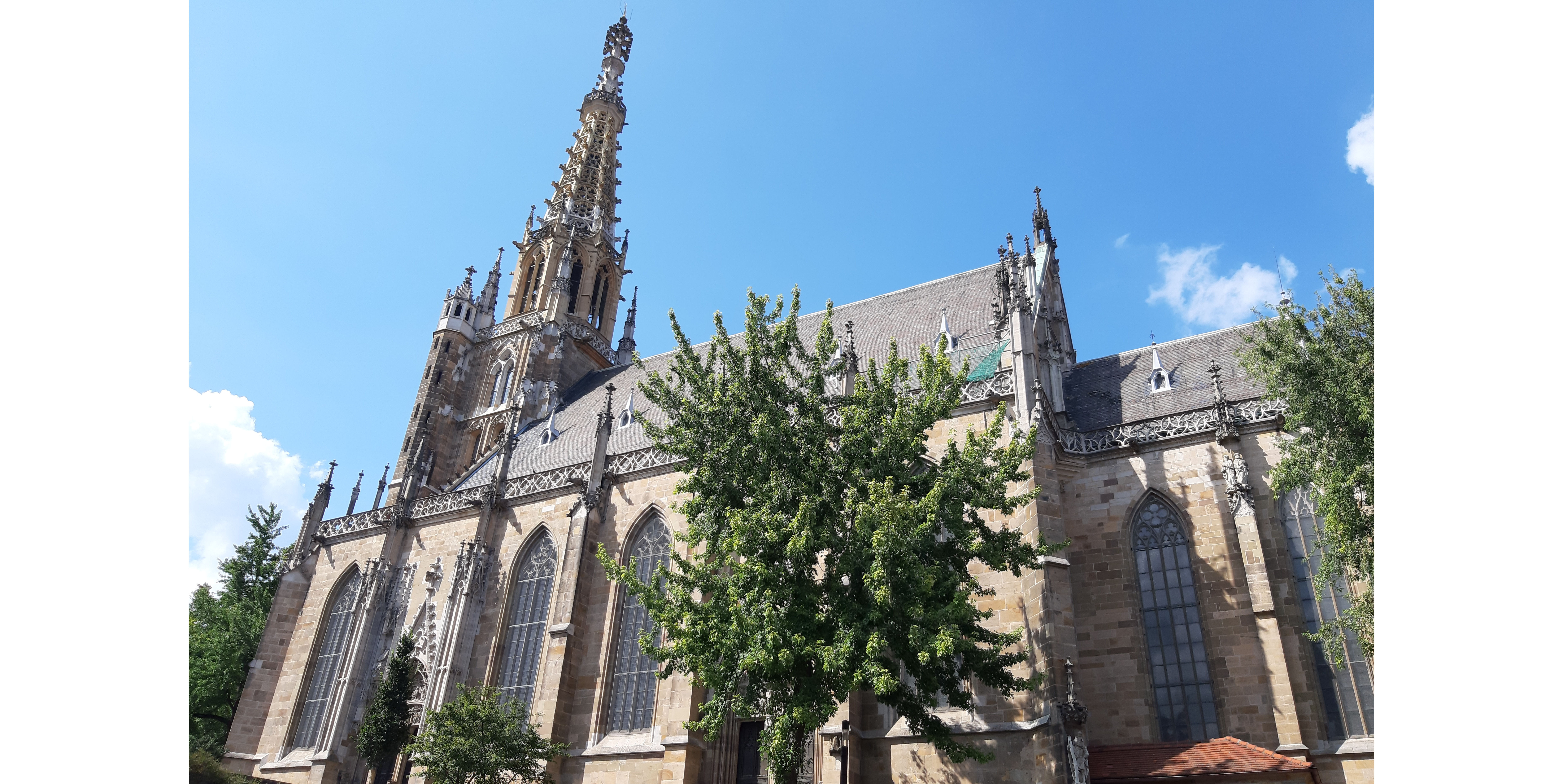 Fotoquelle: Peter Dietl