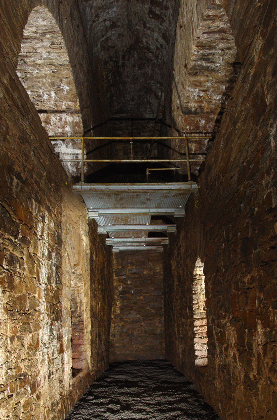 Fotoquelle: Verein „Gottes Geschick Vereinigt Feld“ e.V.