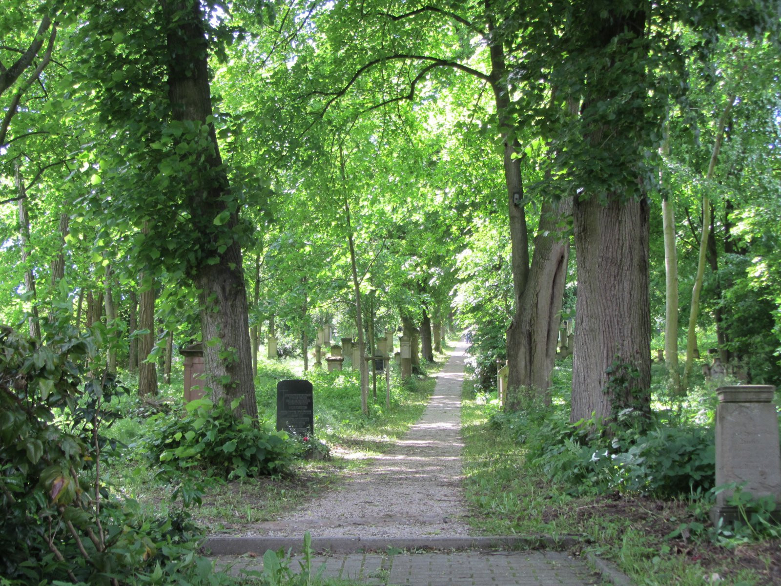 Fotoquelle: Markus Luzius