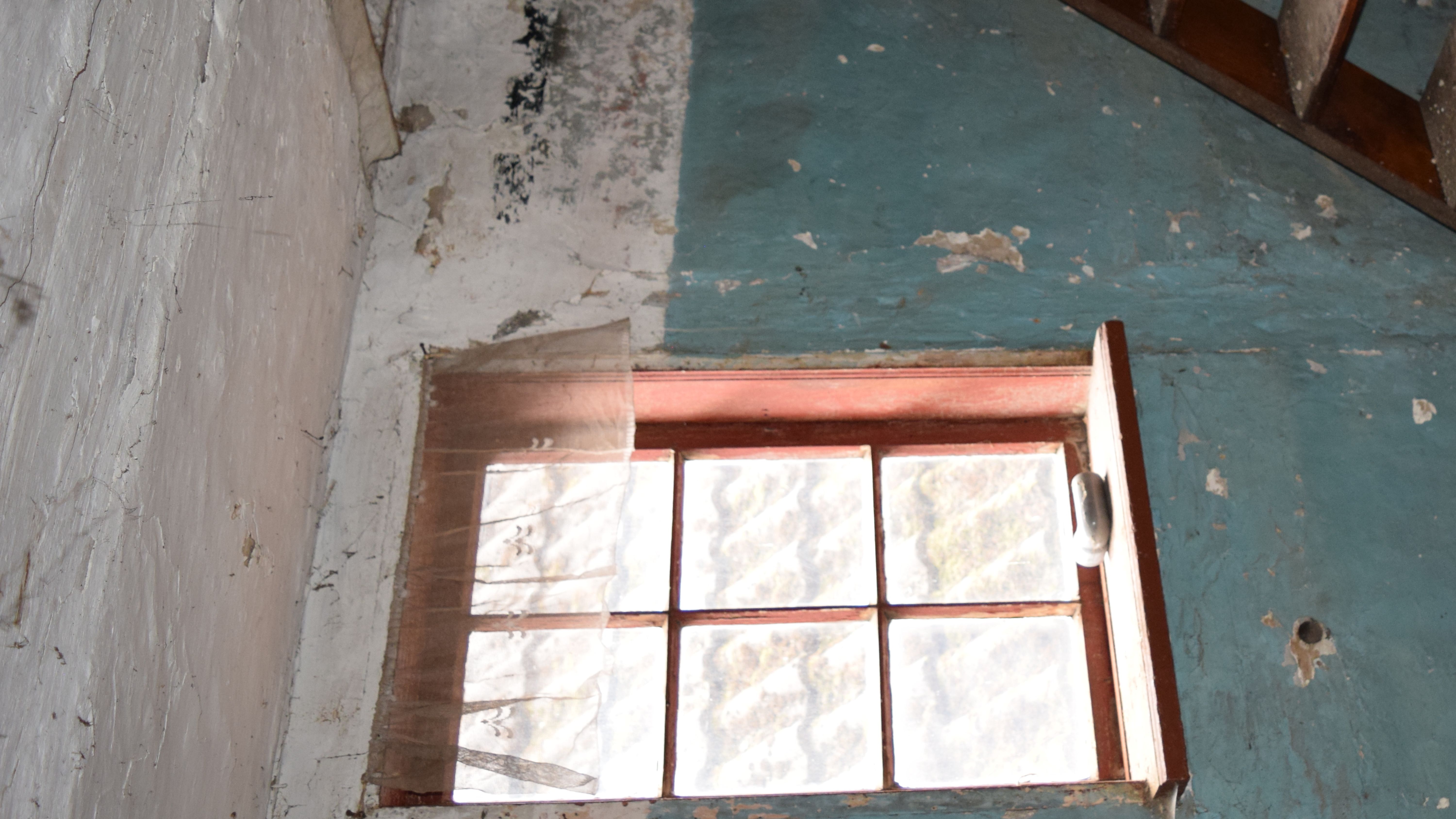 Fotoquelle: Clemens Pawelsky