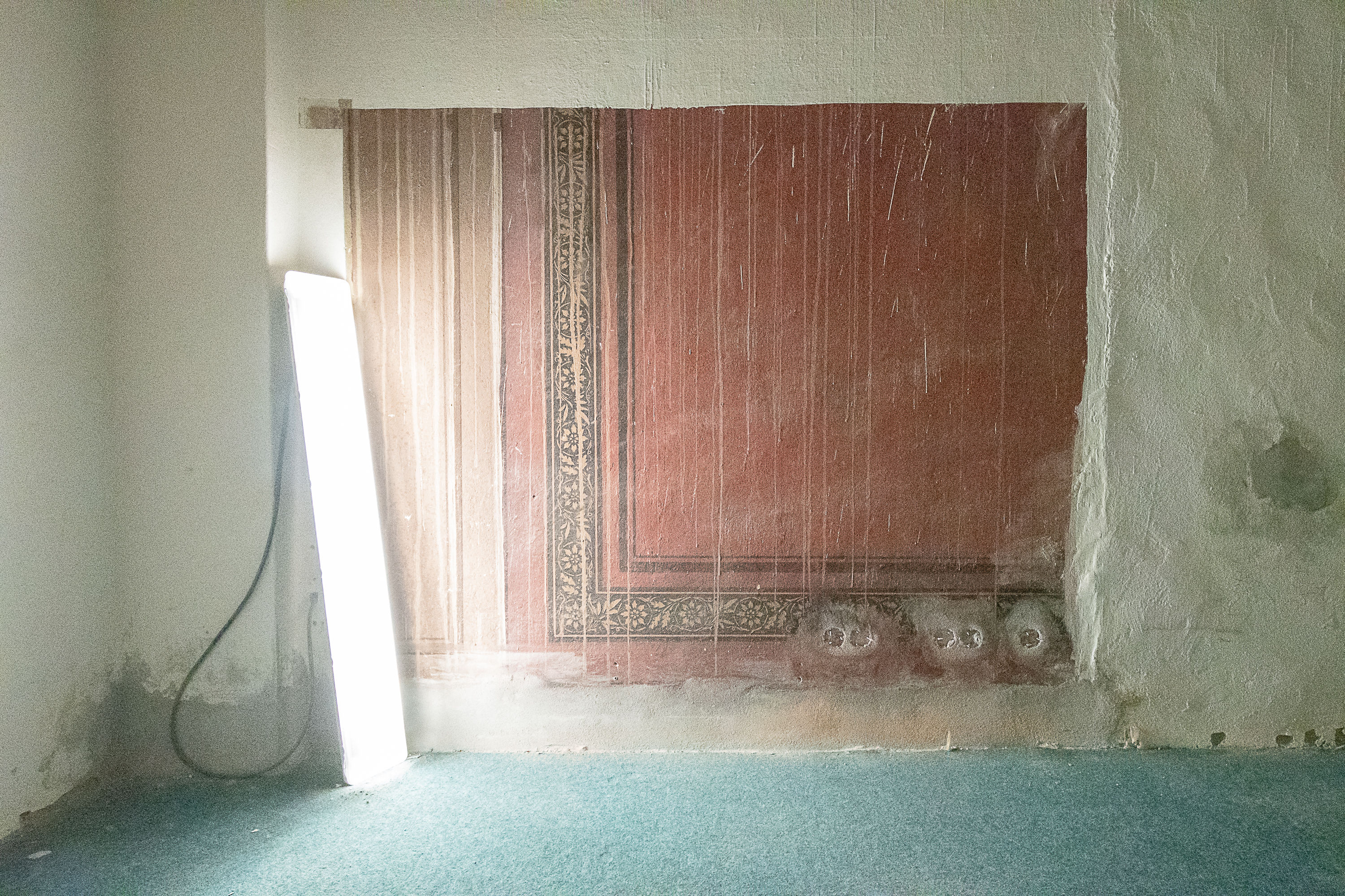 Fotoquelle: Universität Greifswald, Pressestelle