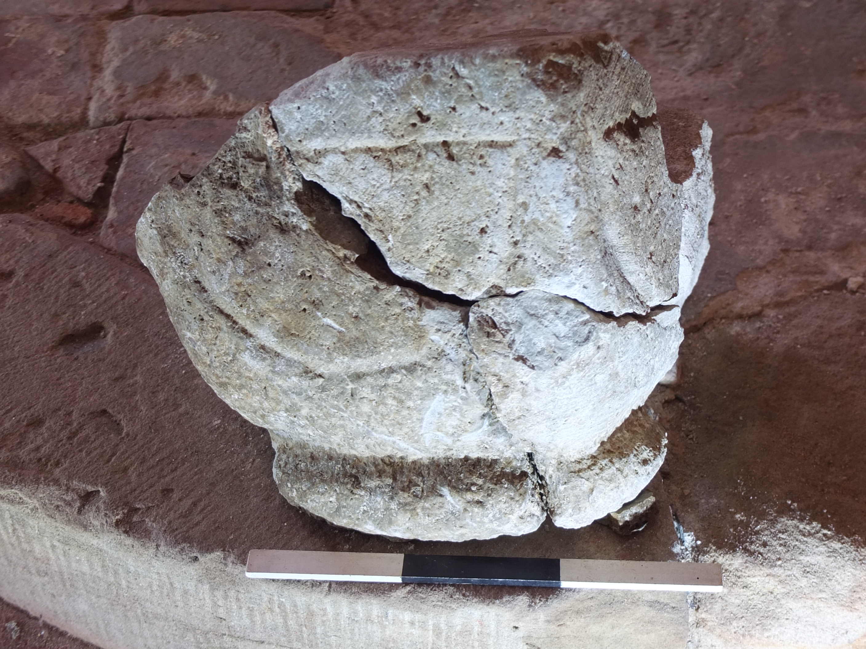 Fotoquelle: M.Bernast