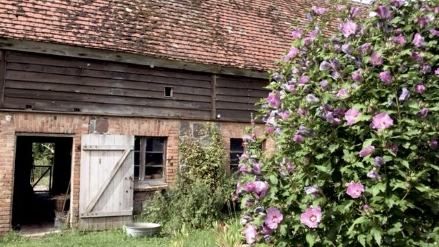 Fotoquelle: Gabriela Domnig