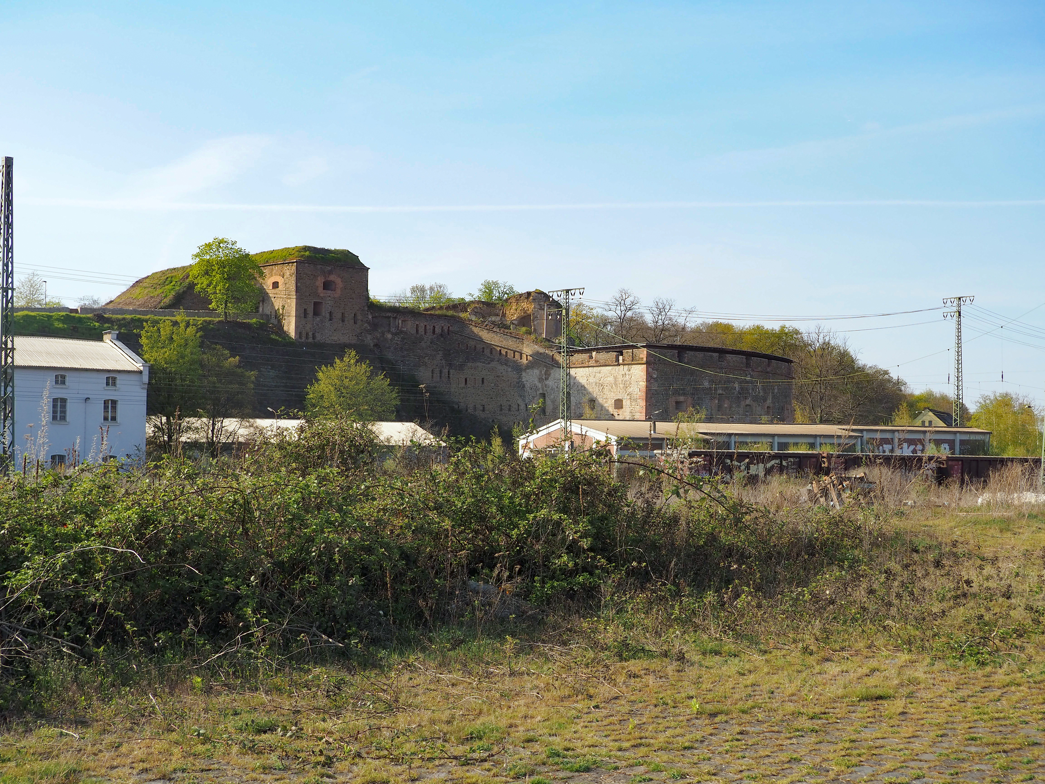 Fotoquelle: Matthias Kellermann