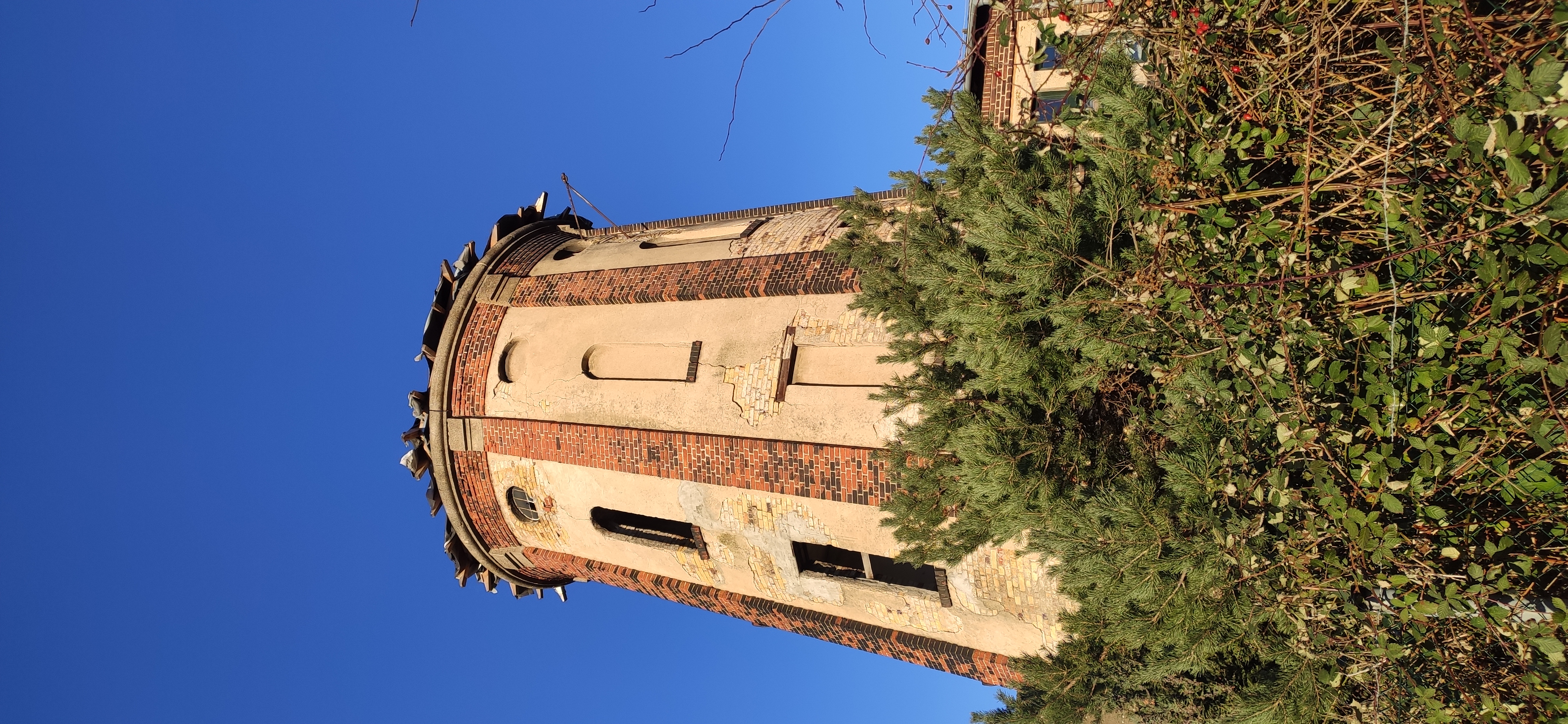 Fotoquelle: Bettina Meerwald